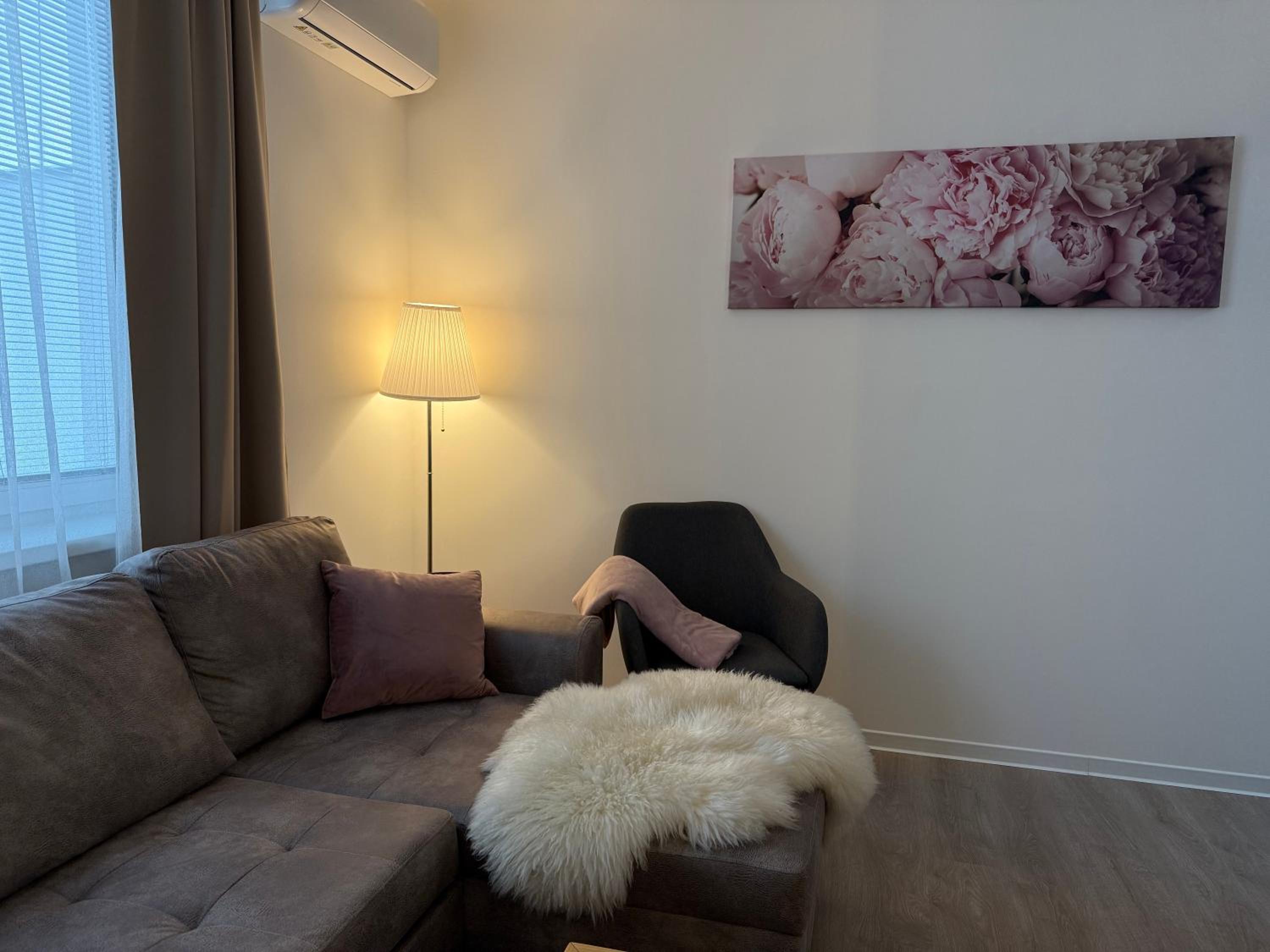 Deluxe Apartment photo 2