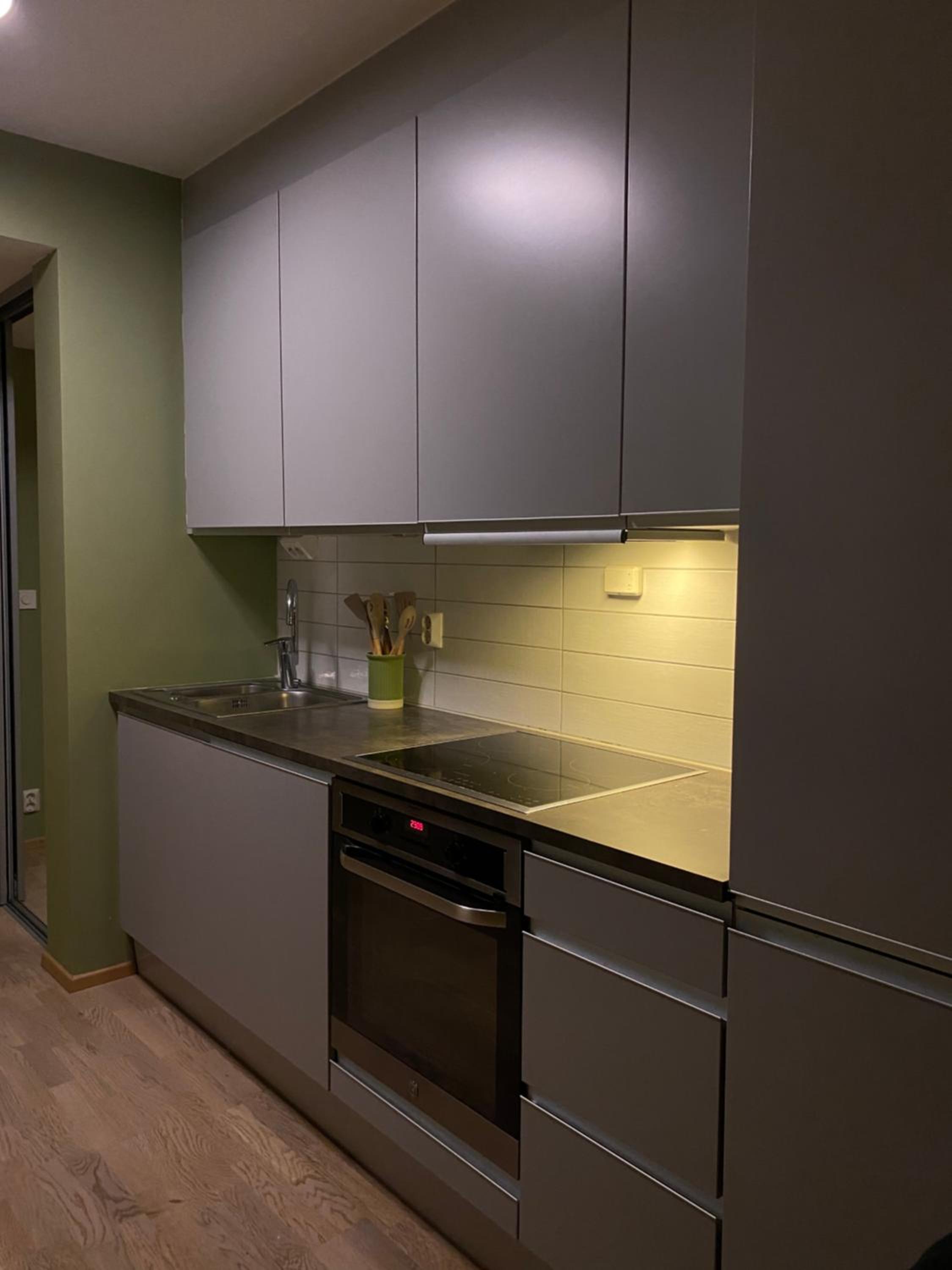 One-Bedroom Apartment photo 3