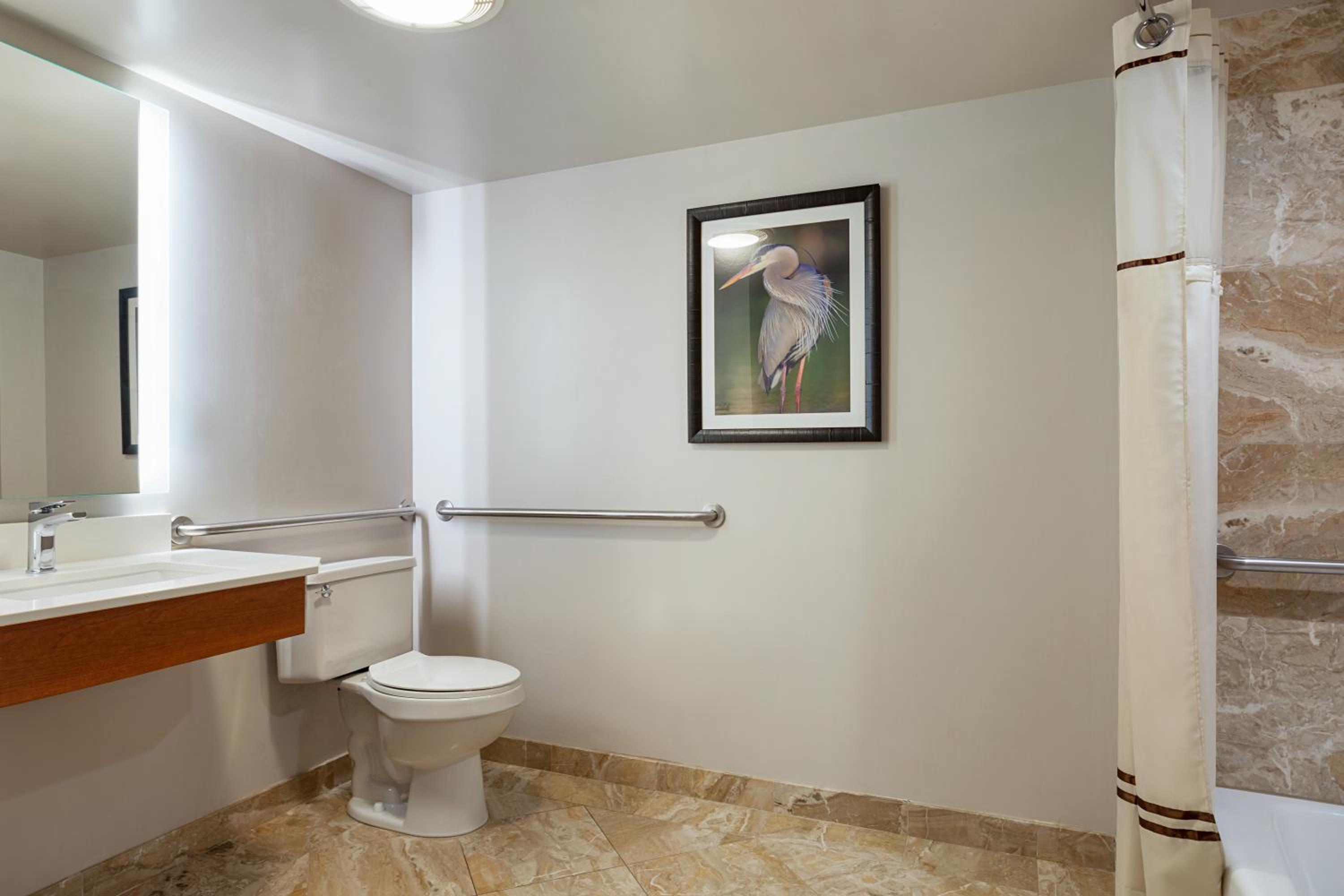 Mobility Accessible King Studio - Pool View