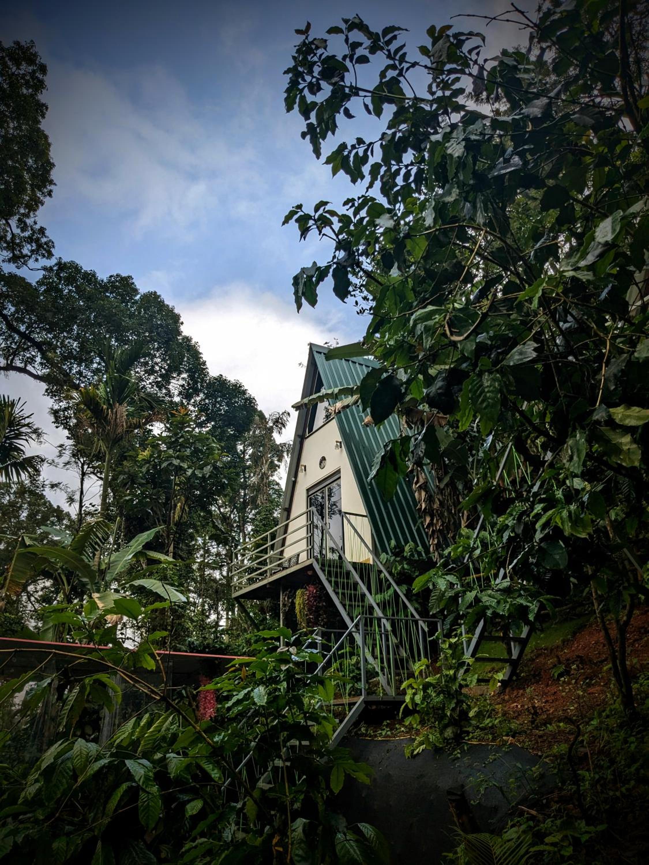Deluxe Villa photo 3