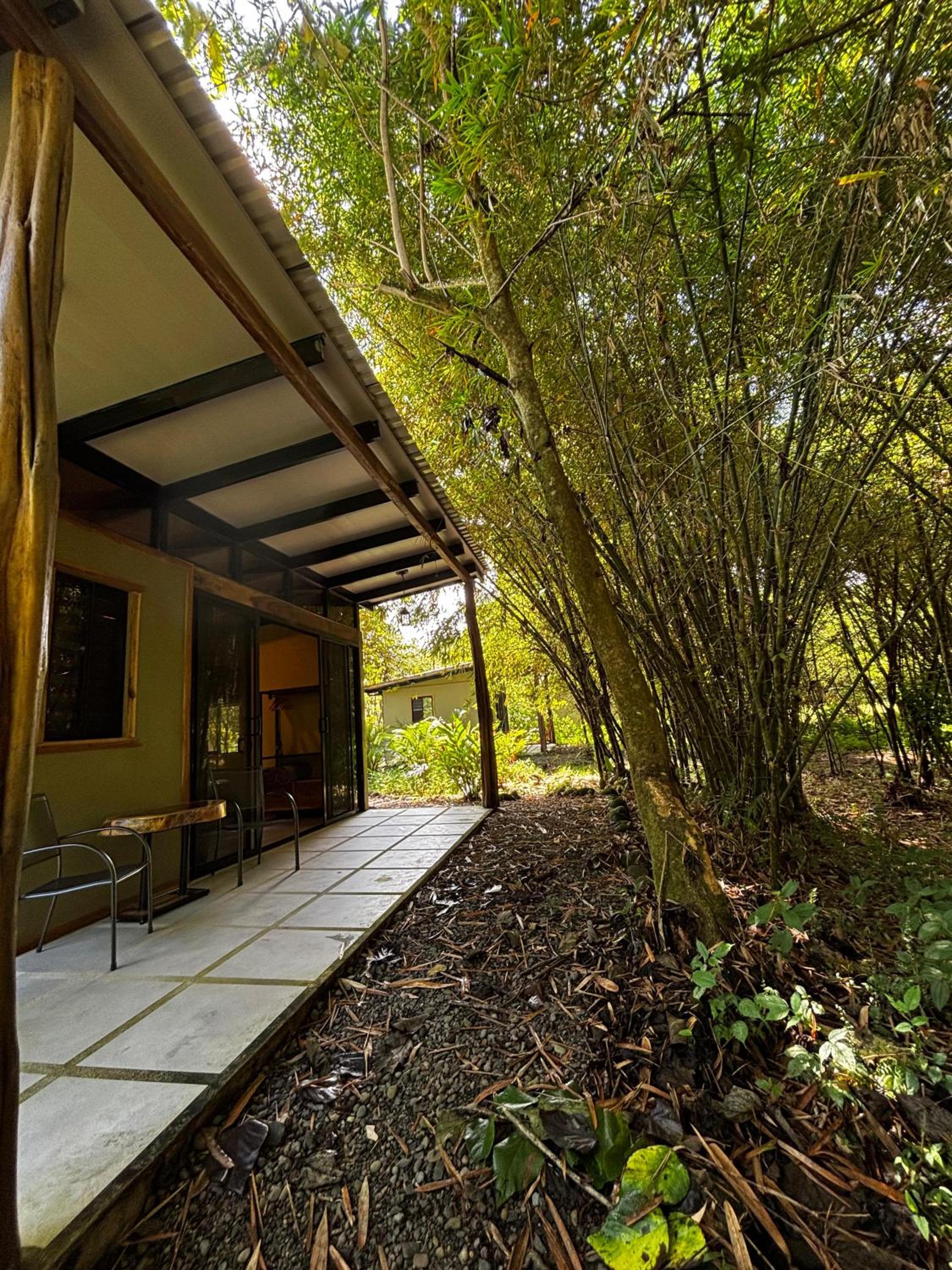 Quadruple Room with Garden View photo 3