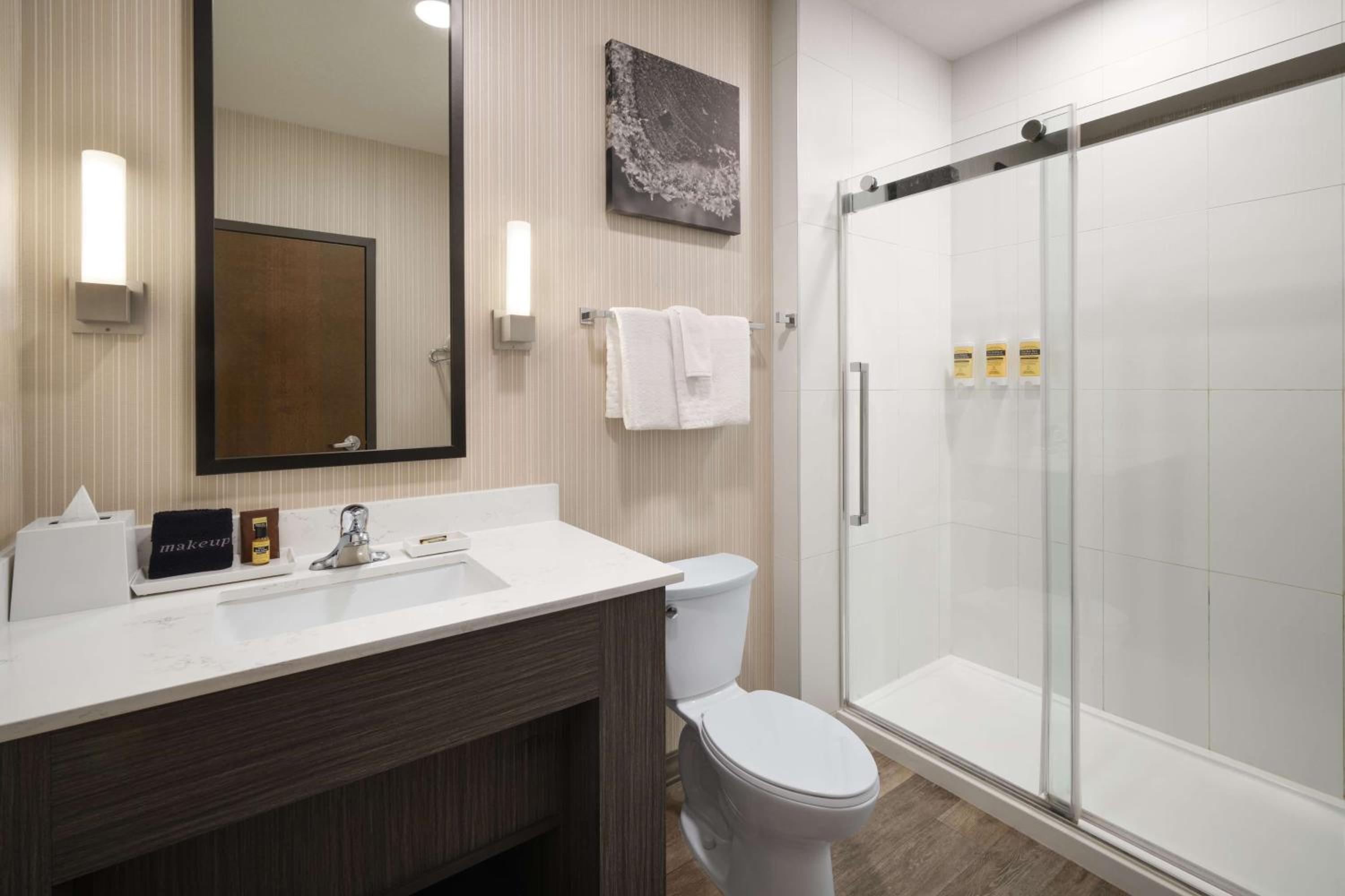 King Suite with Jetted Tub and Fireplace - Non-Smoking - Photo 6