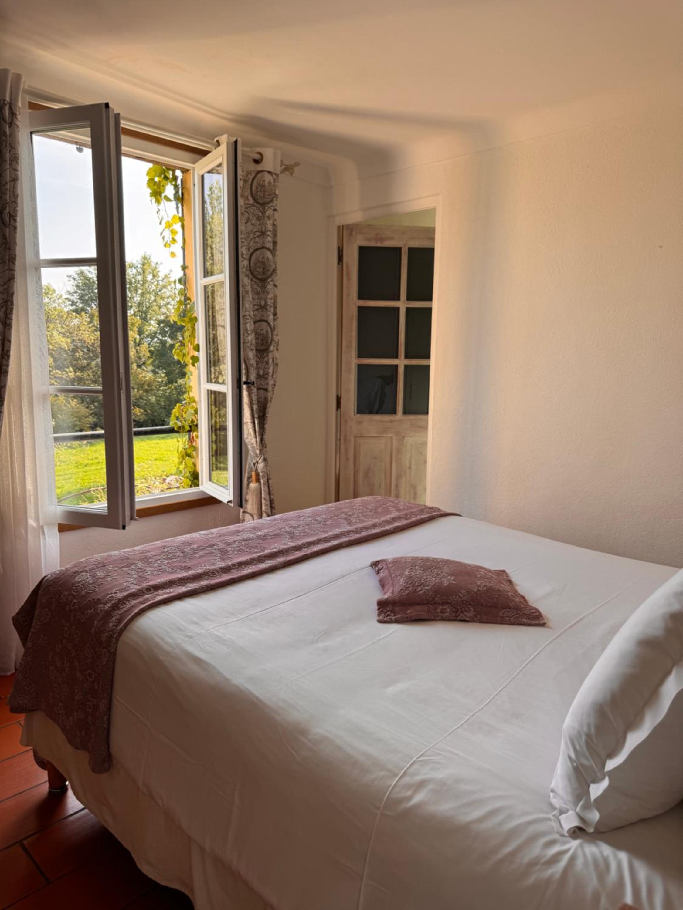Standard Double Room photo 2