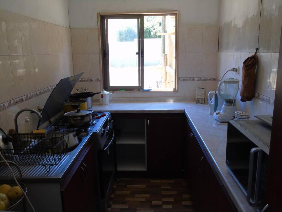 One-Bedroom House photo 3