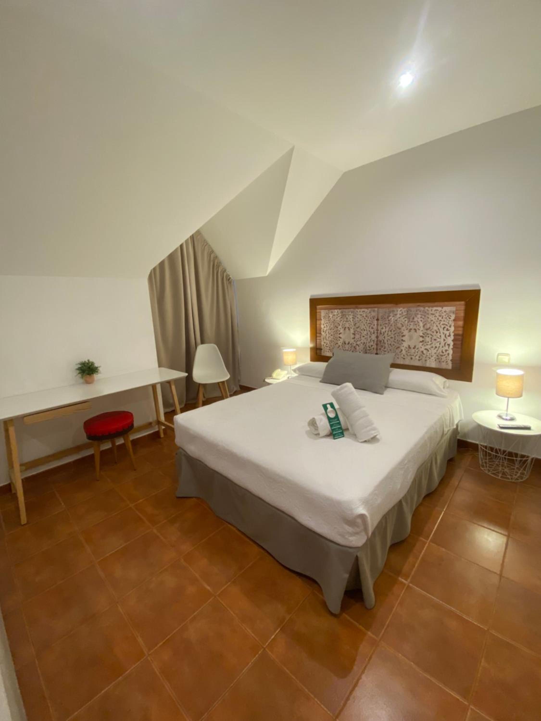 Suite - Photo 1