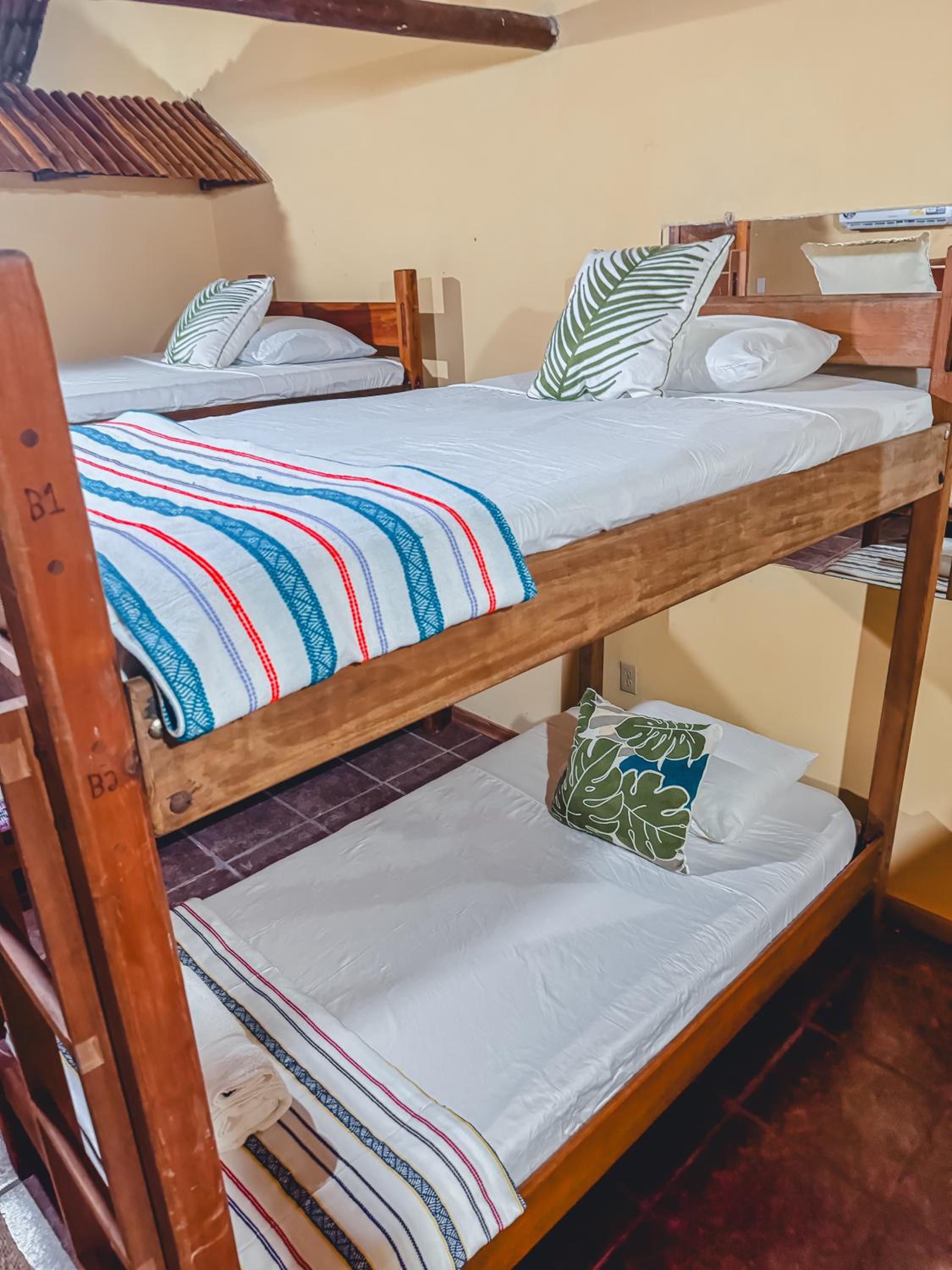 Bunk Bed in Mixed Dormitory Room photo 2