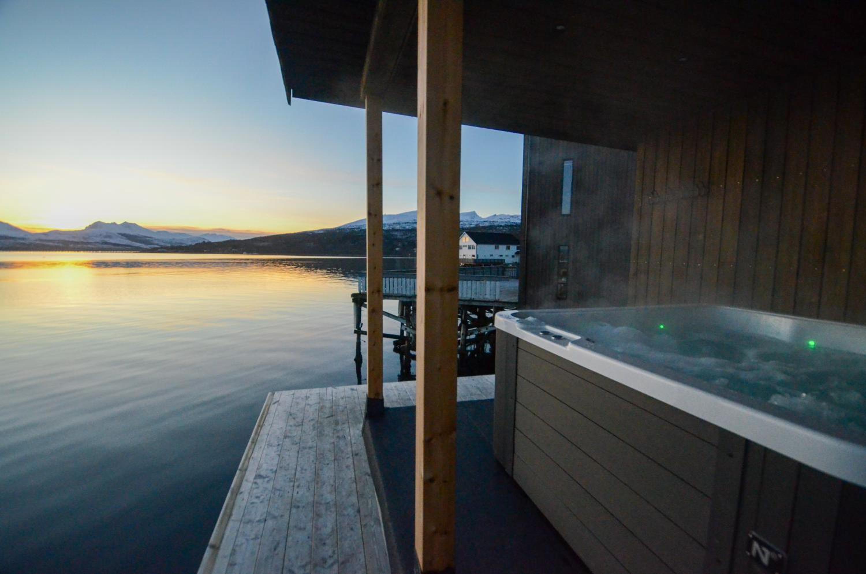 Steam Pier - Wolverine photo 2