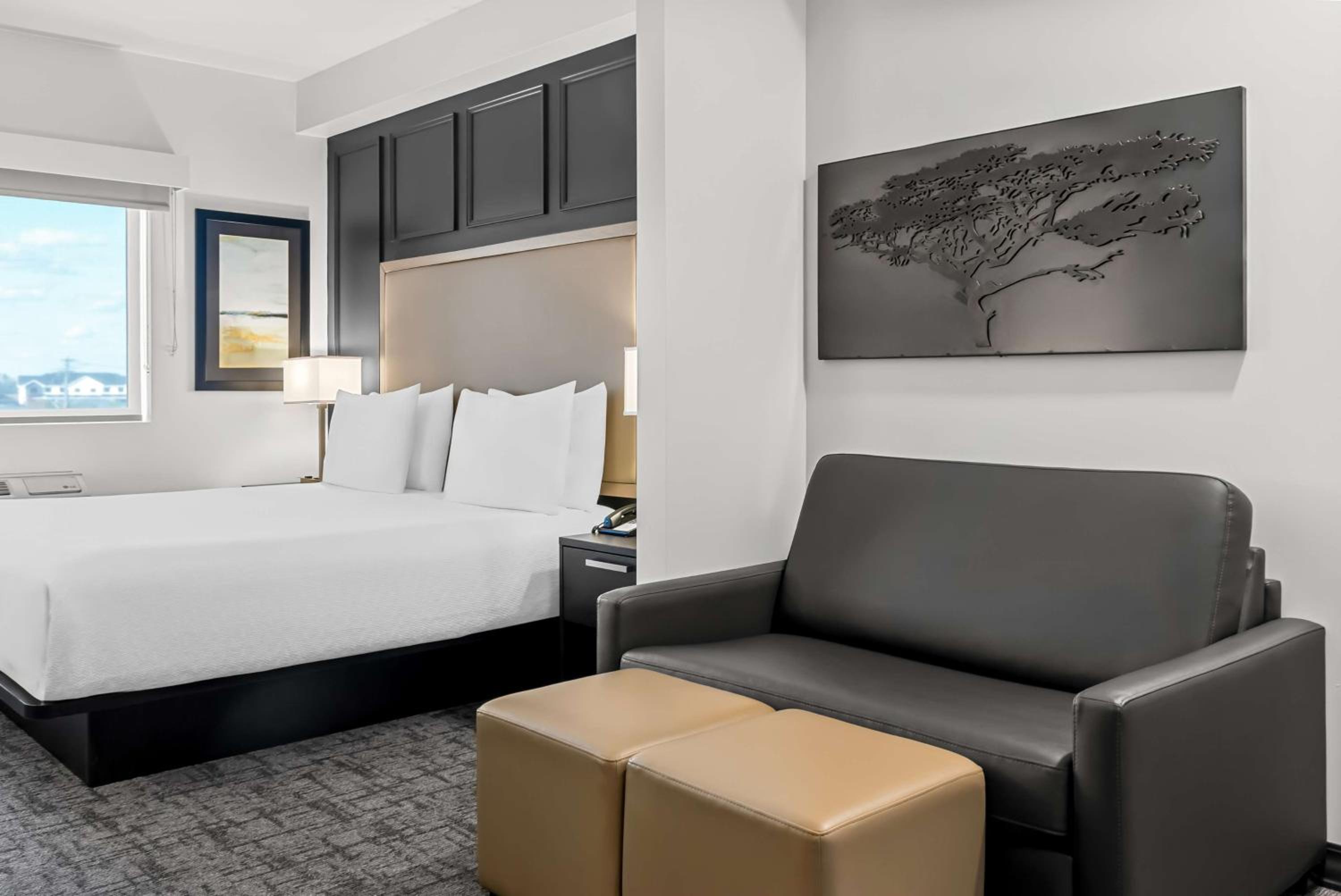 King Suite with Roll-In Shower and Sofa Bed - Disability/Non-Smoking - Photo 3