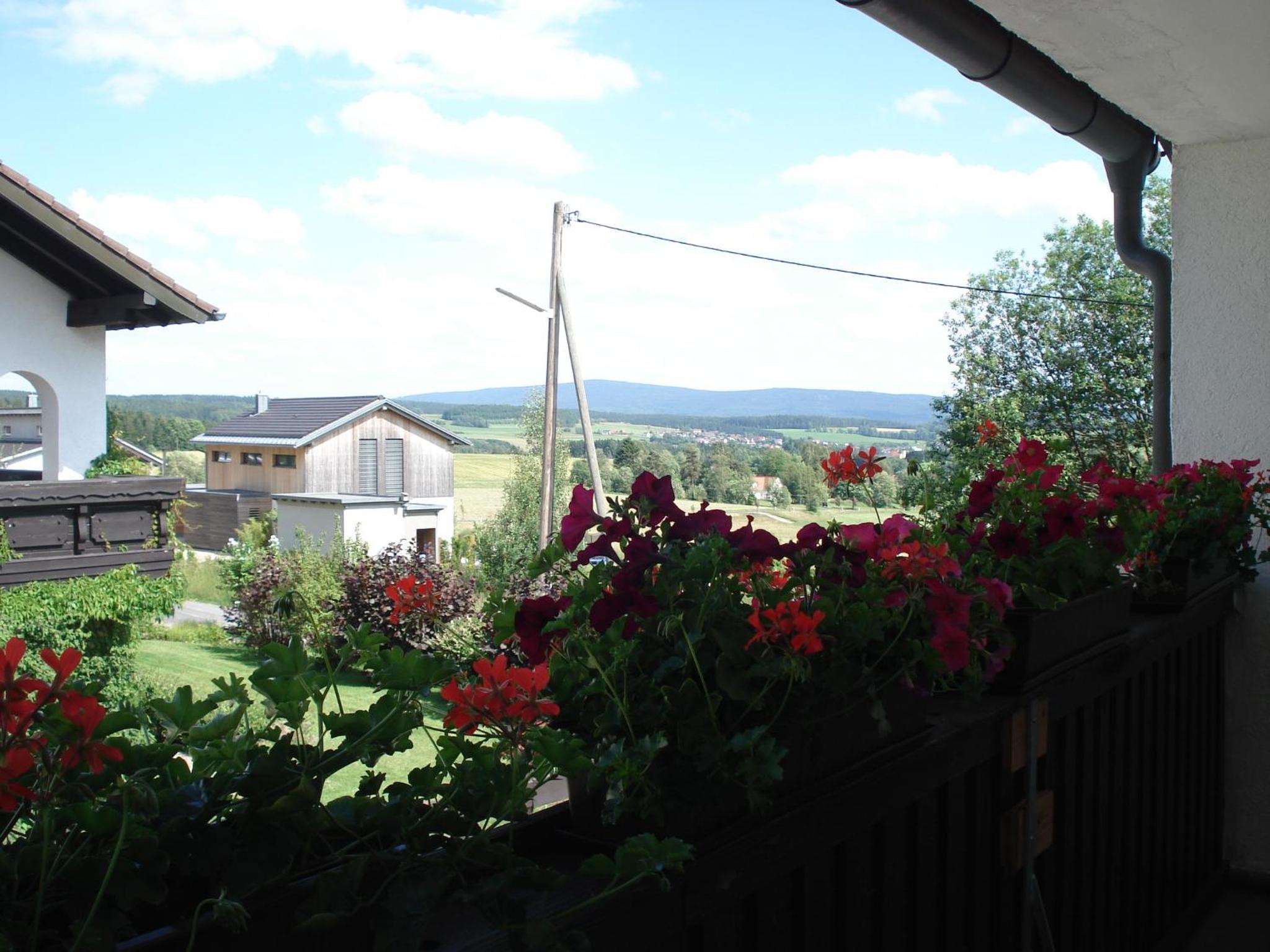 Apartment with Mountain View photo 3