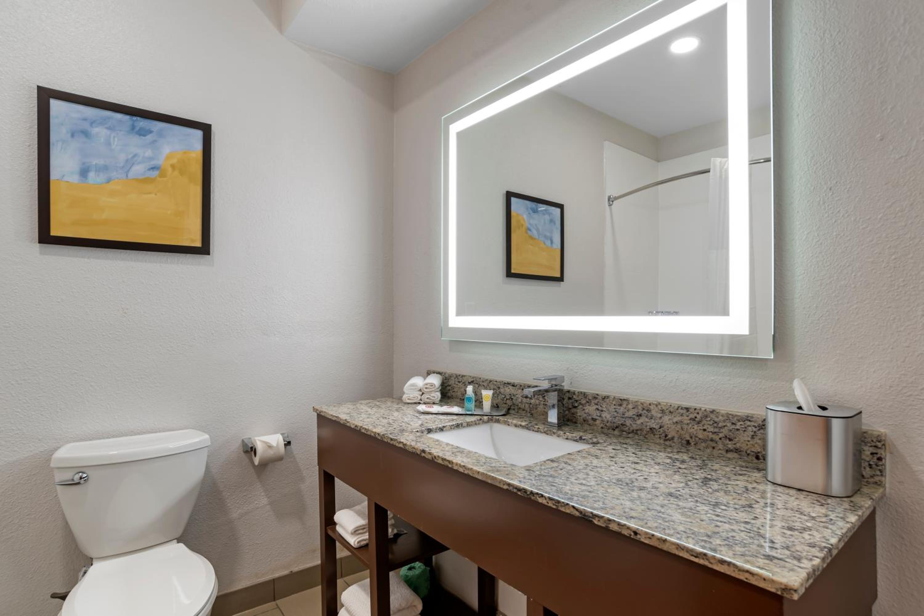 King Suite with Accessible Bath Tub - Non-Smoking - Photo 4