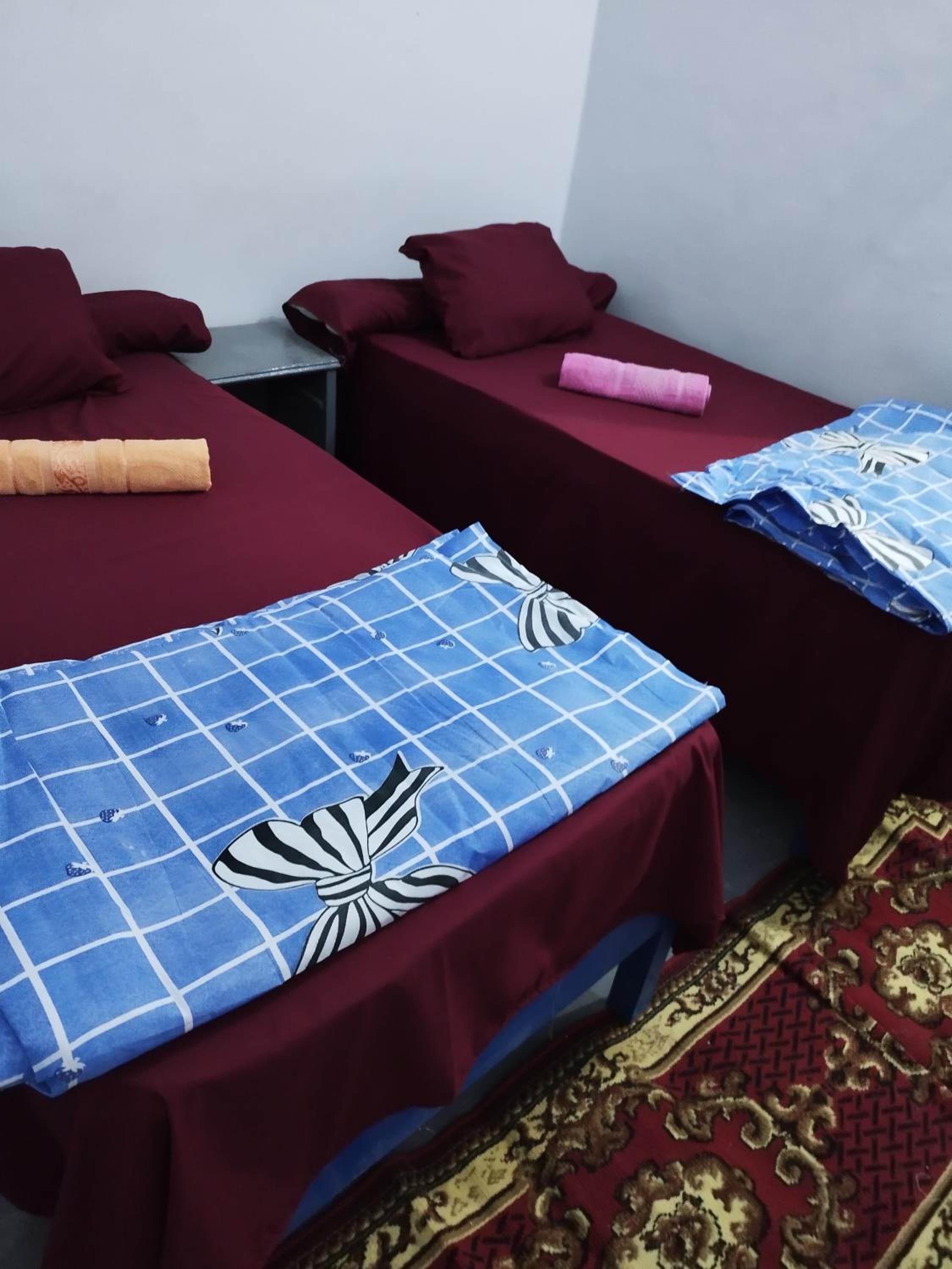 Bed in 4-Bed Female Dormitory Room photo 2