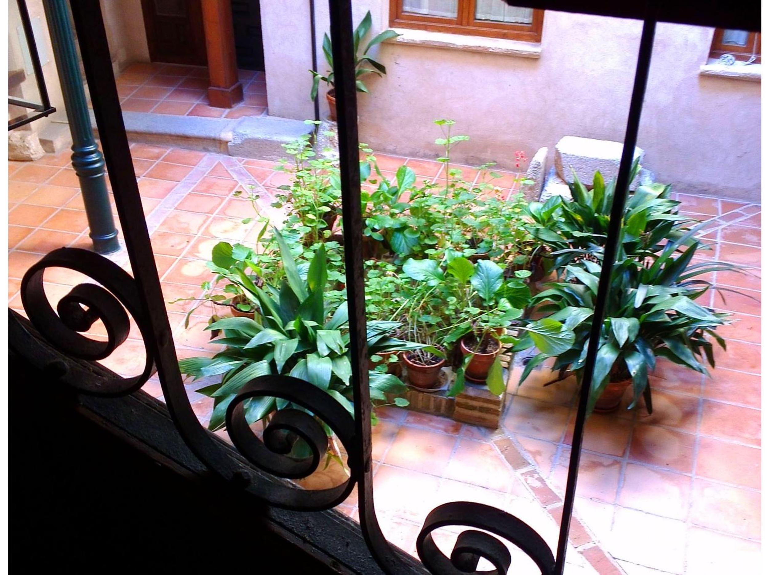 Apartment with Terrace - Photo 5