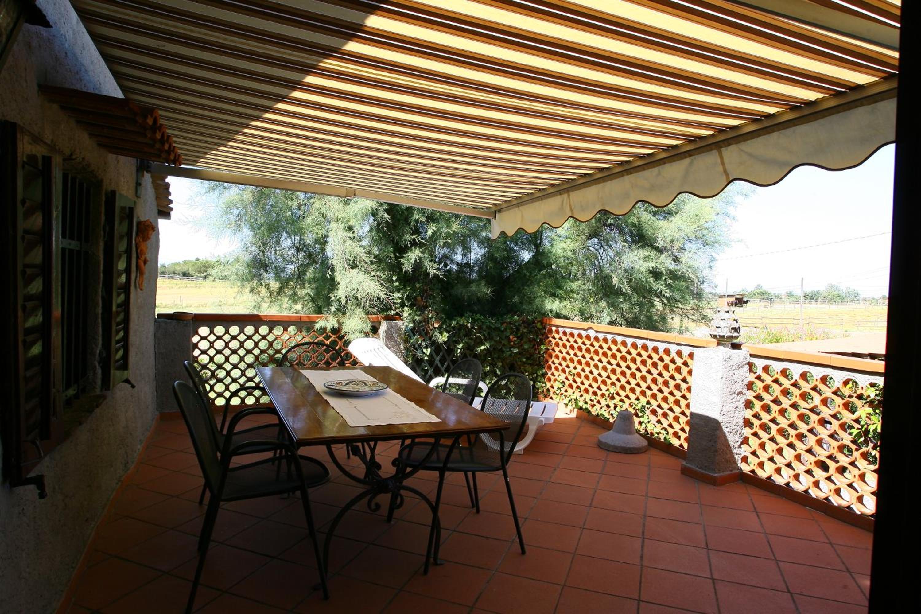 Apartment with Terrace photo 2