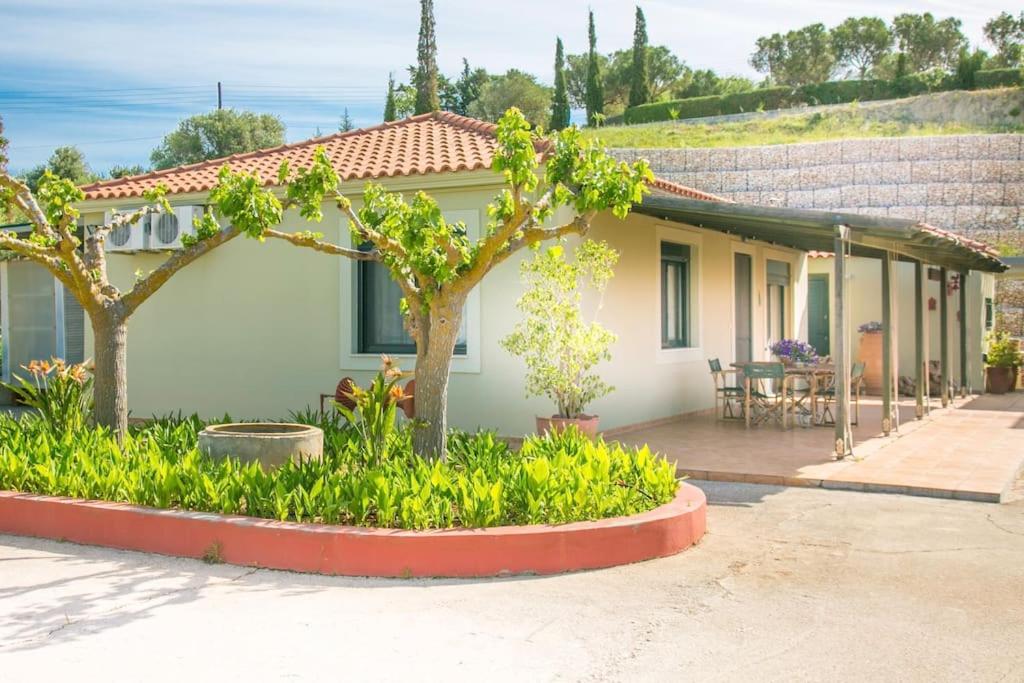 Standard Villa photo 2
