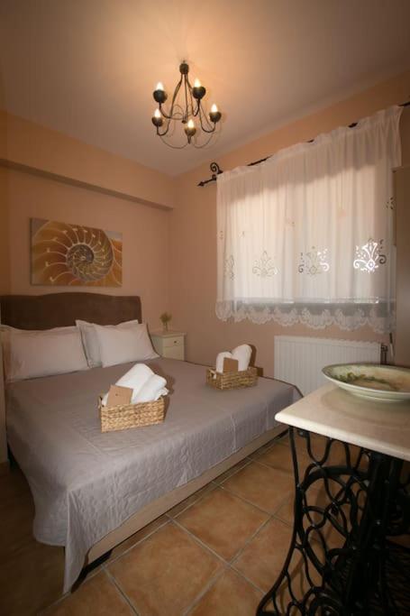 Standard Villa photo 3