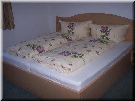 Standard One-Bedroom Apartment - Photo 4