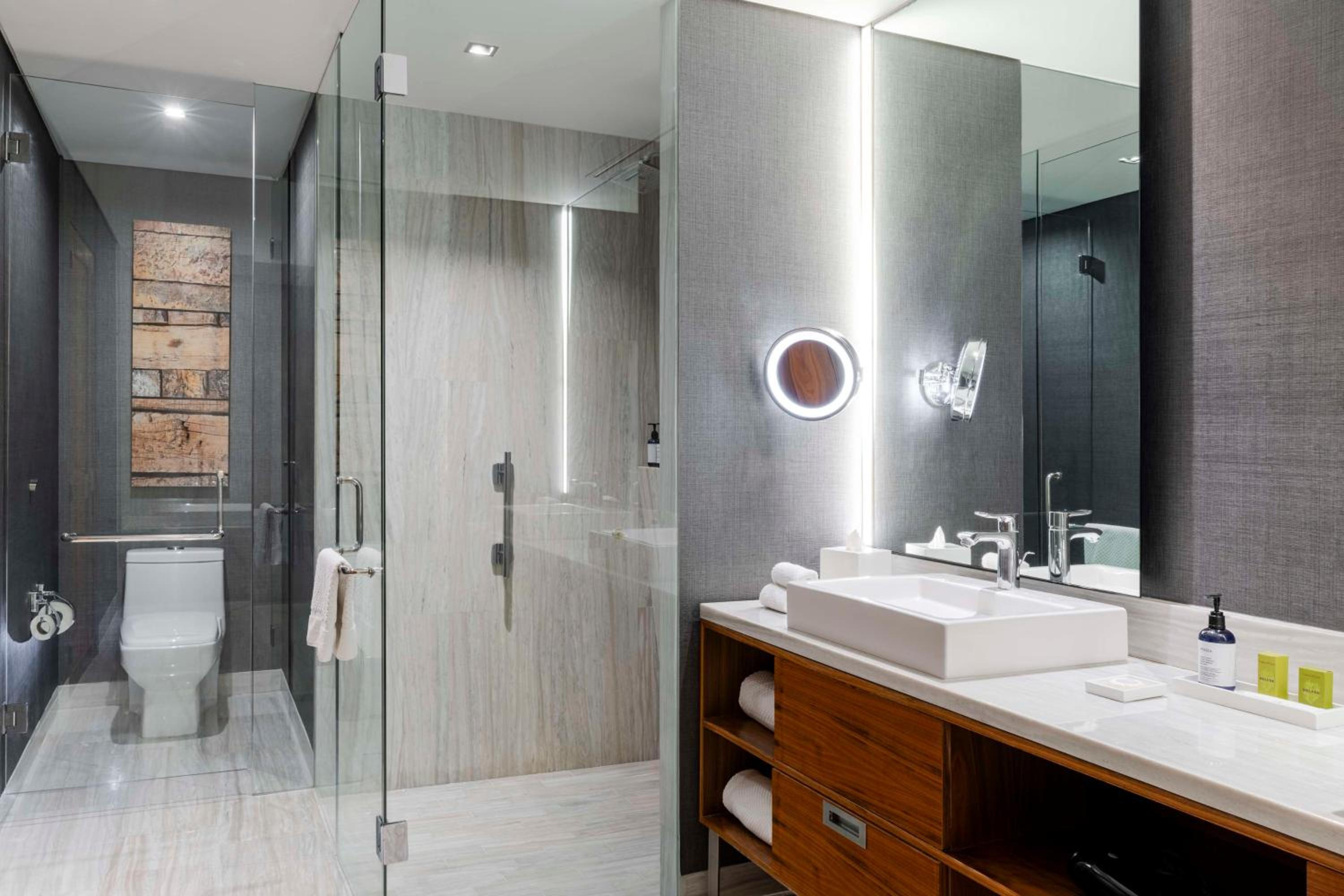 One-Bedroom King Suite thumbnail 5