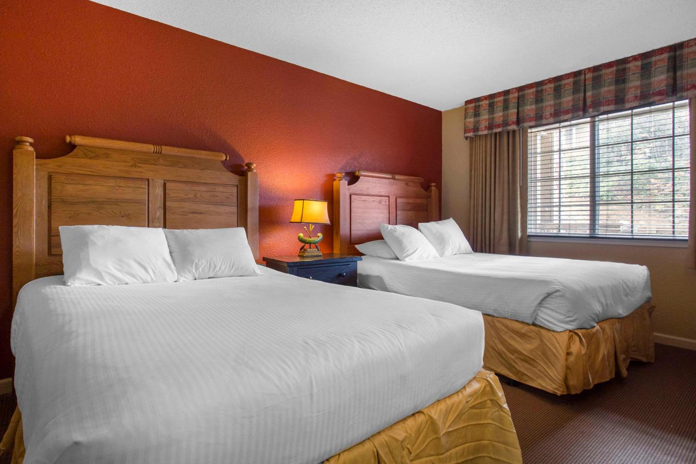 Family Suite photo 1