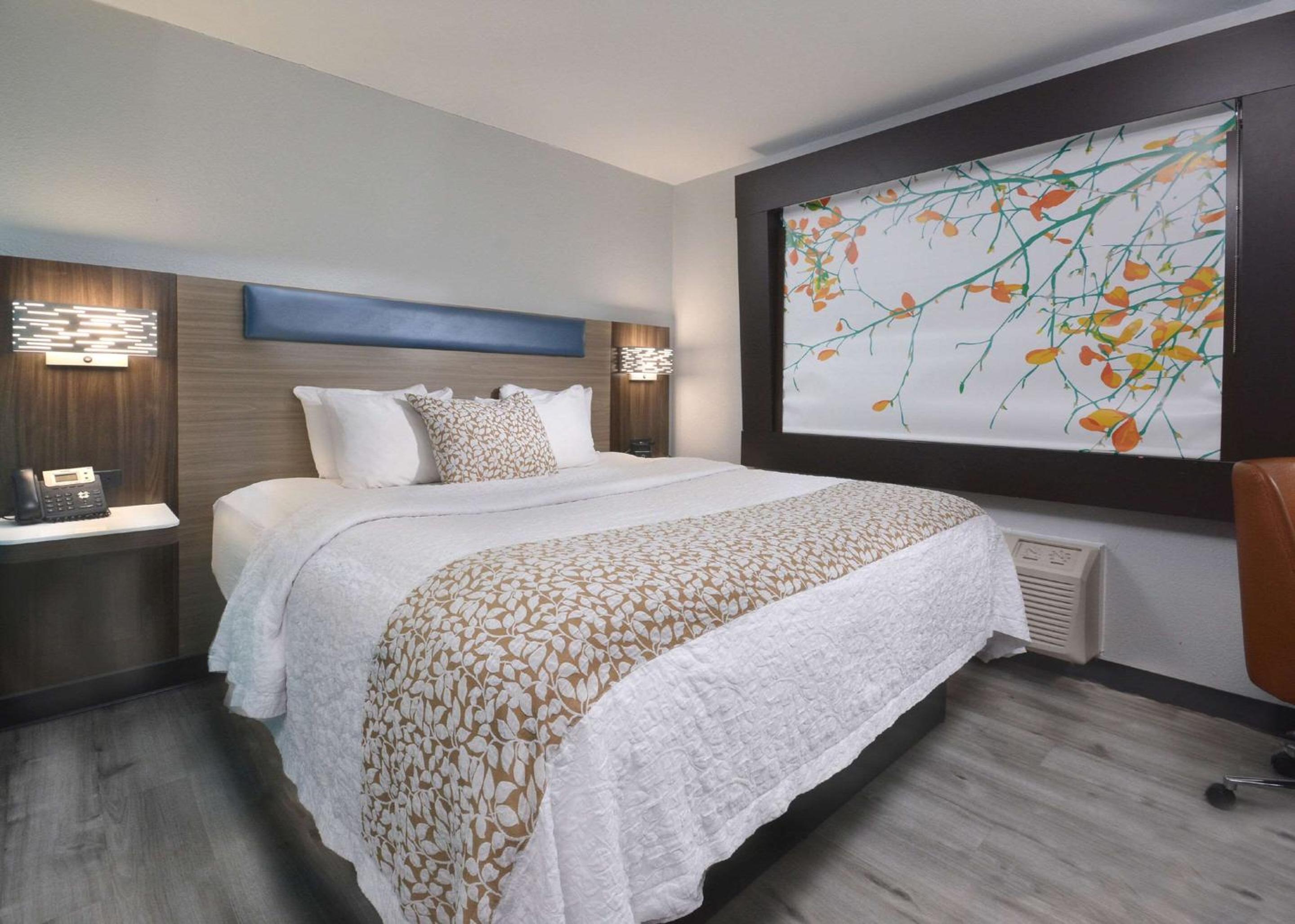 King Room - Non-Smoking - Photo 1