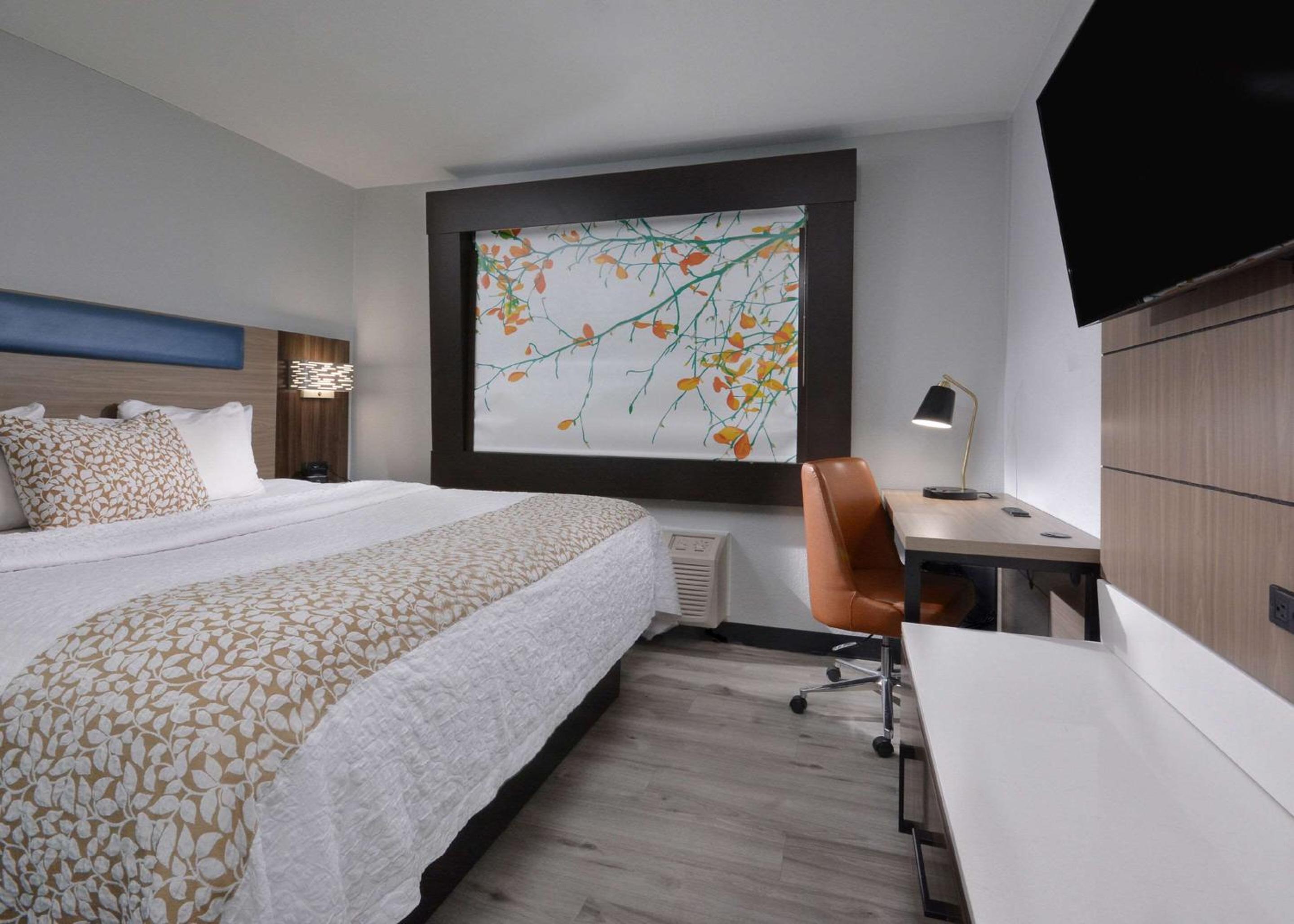 King Room - Non-Smoking - Photo 4