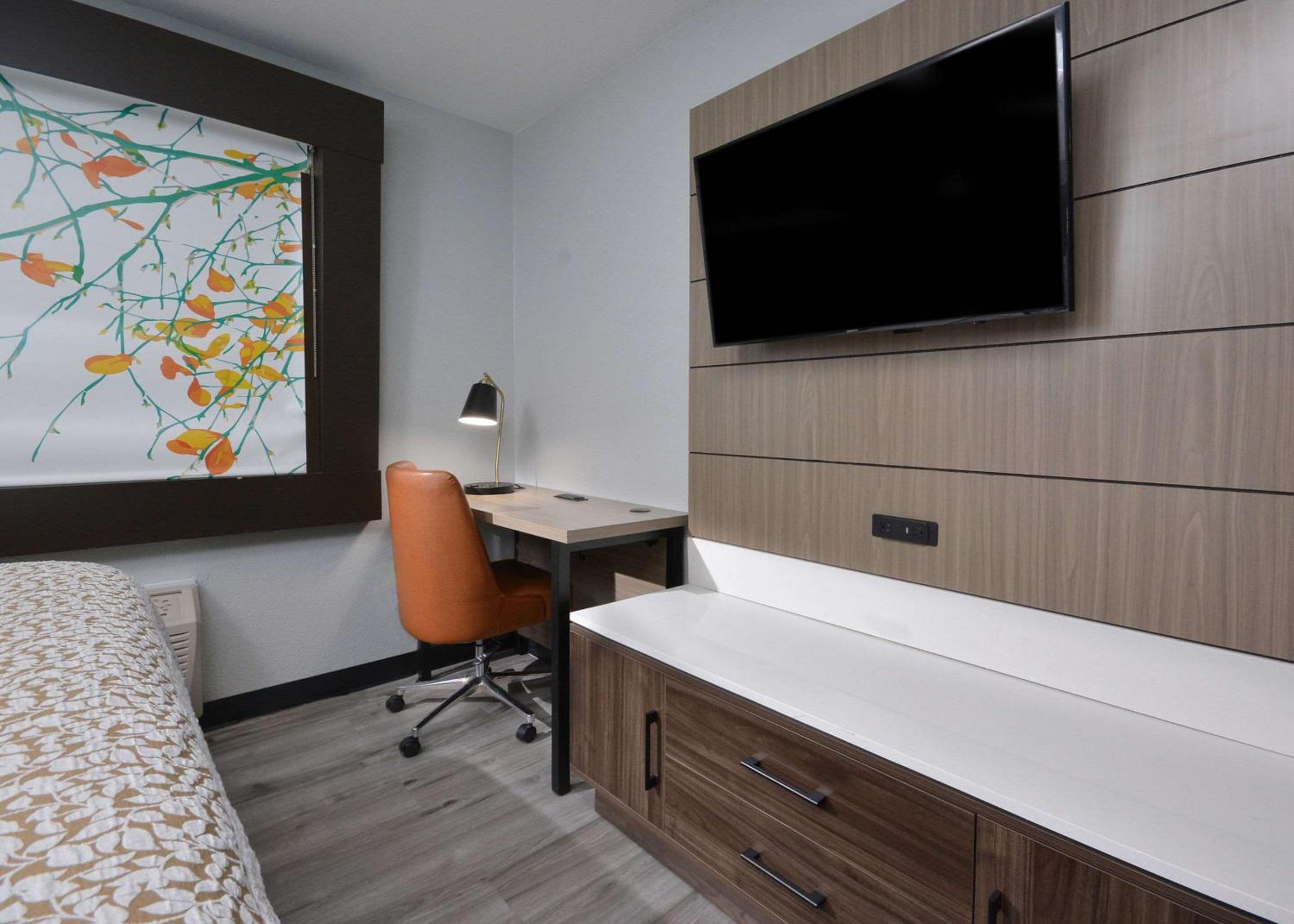 King Room - Non-Smoking - Photo 3