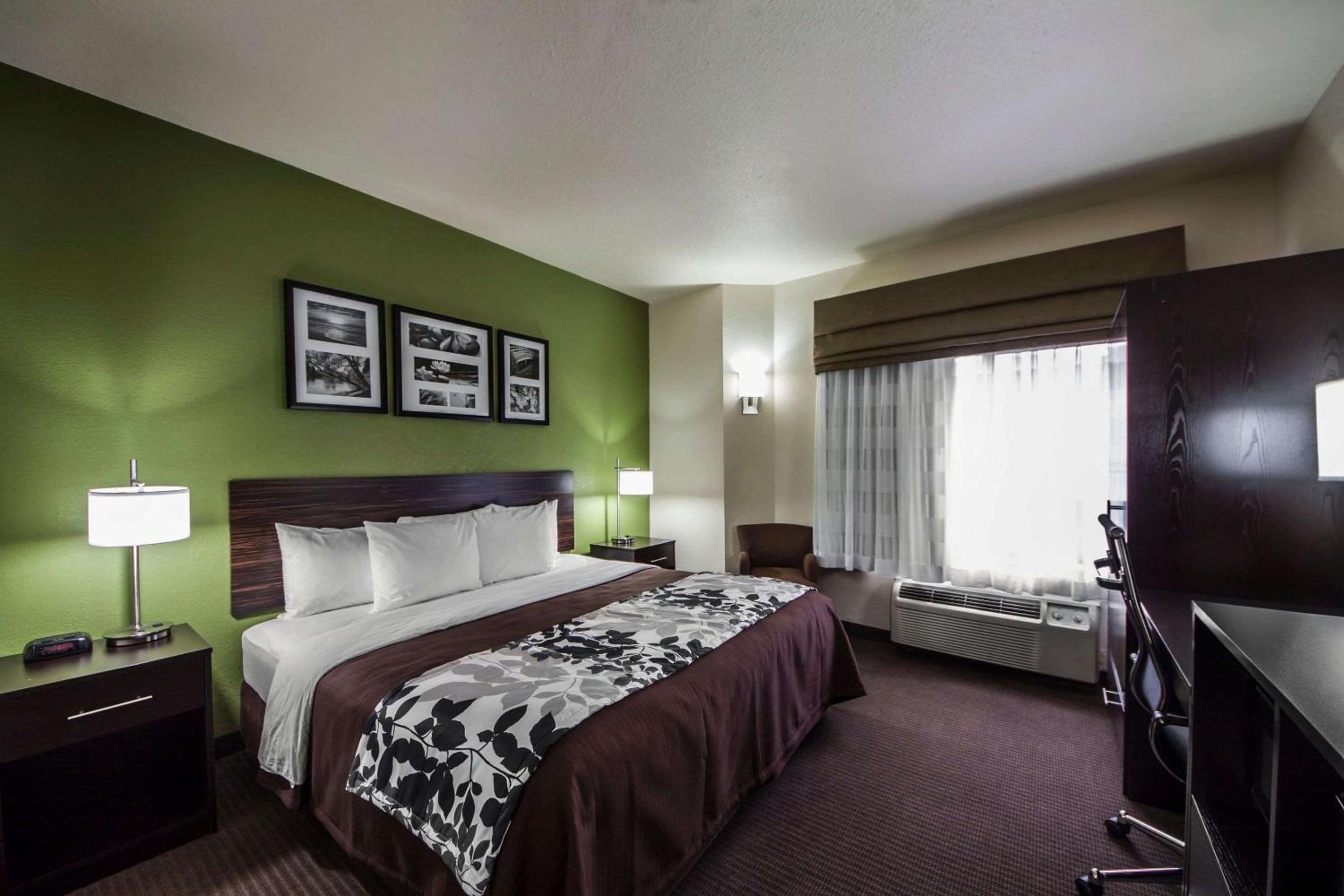 King Room - Photo 1