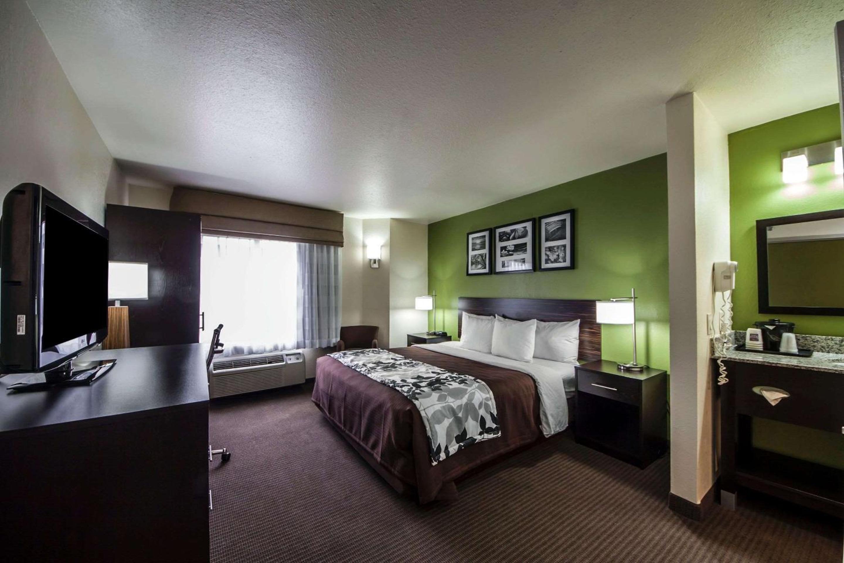 King Suite photo 3