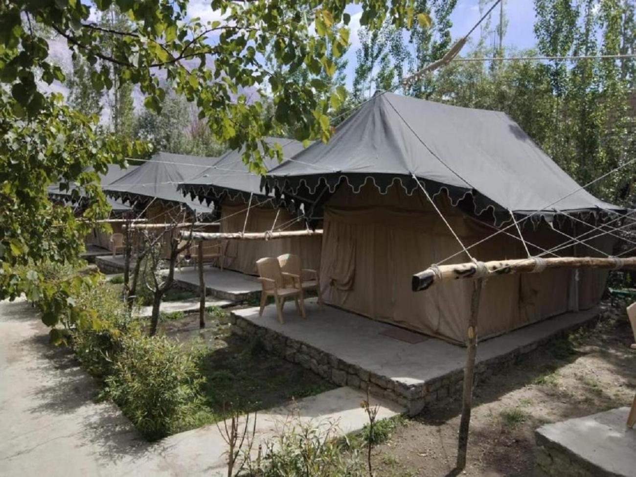 Tent photo 1