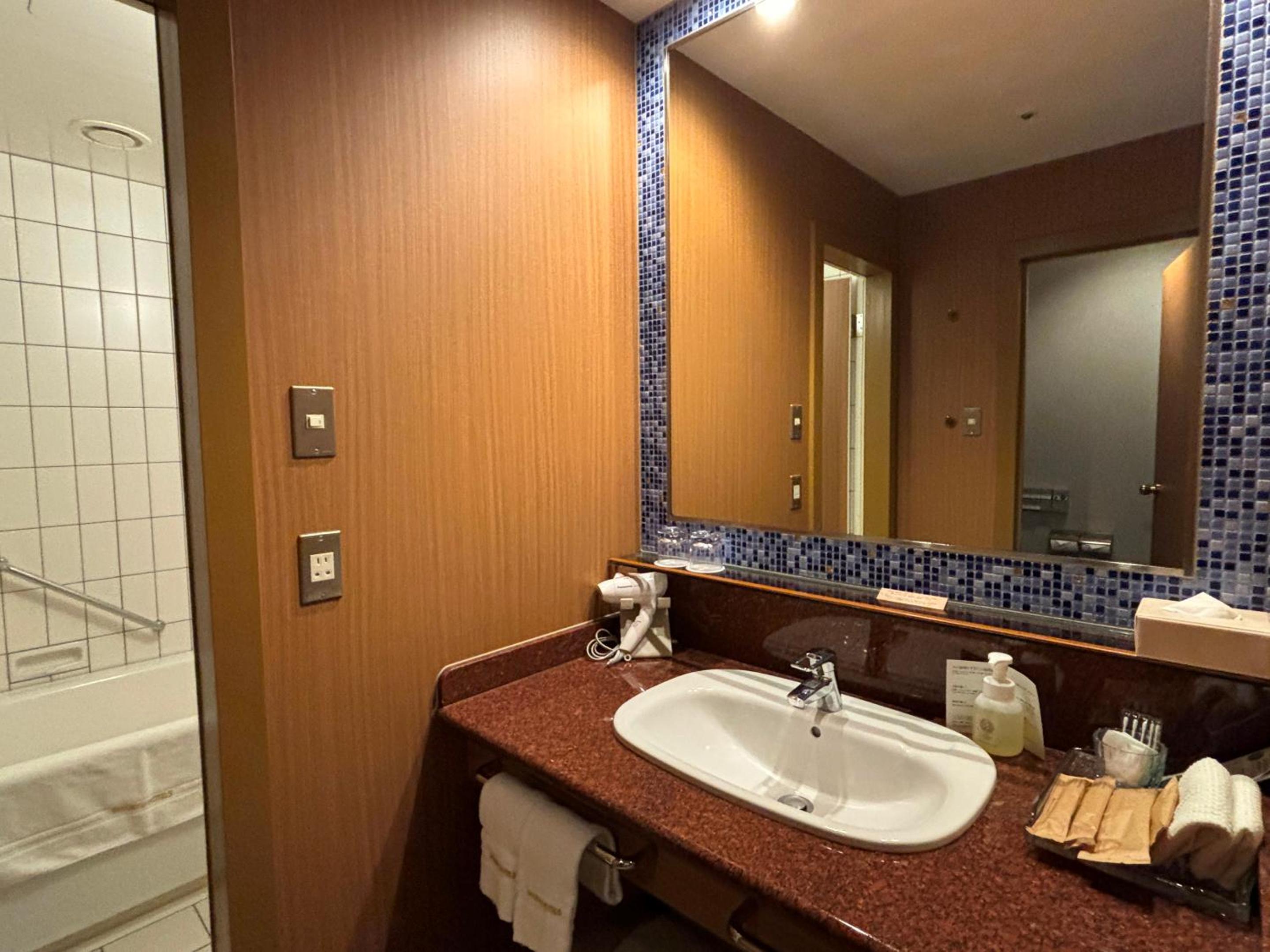 Standard Alps Twin Room with Balcony - Photo 8