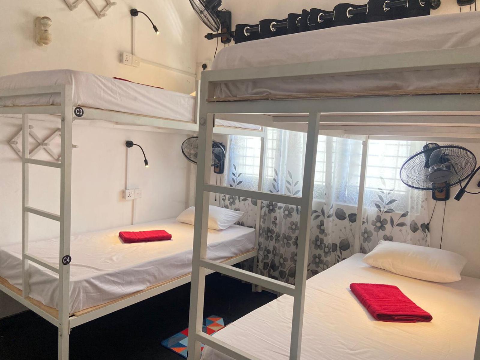4-Bed Mixed Dormitory Room photo 1
