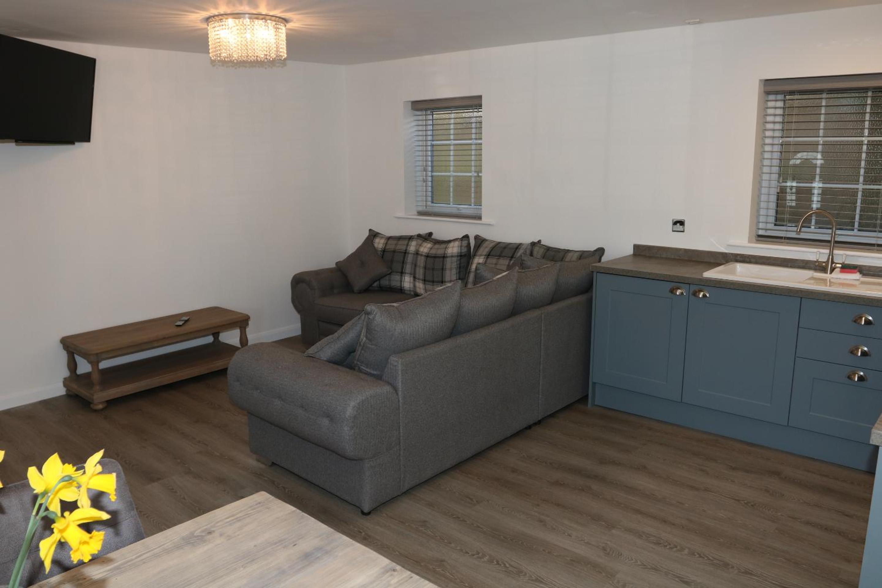 Toot Suite - Photo 6