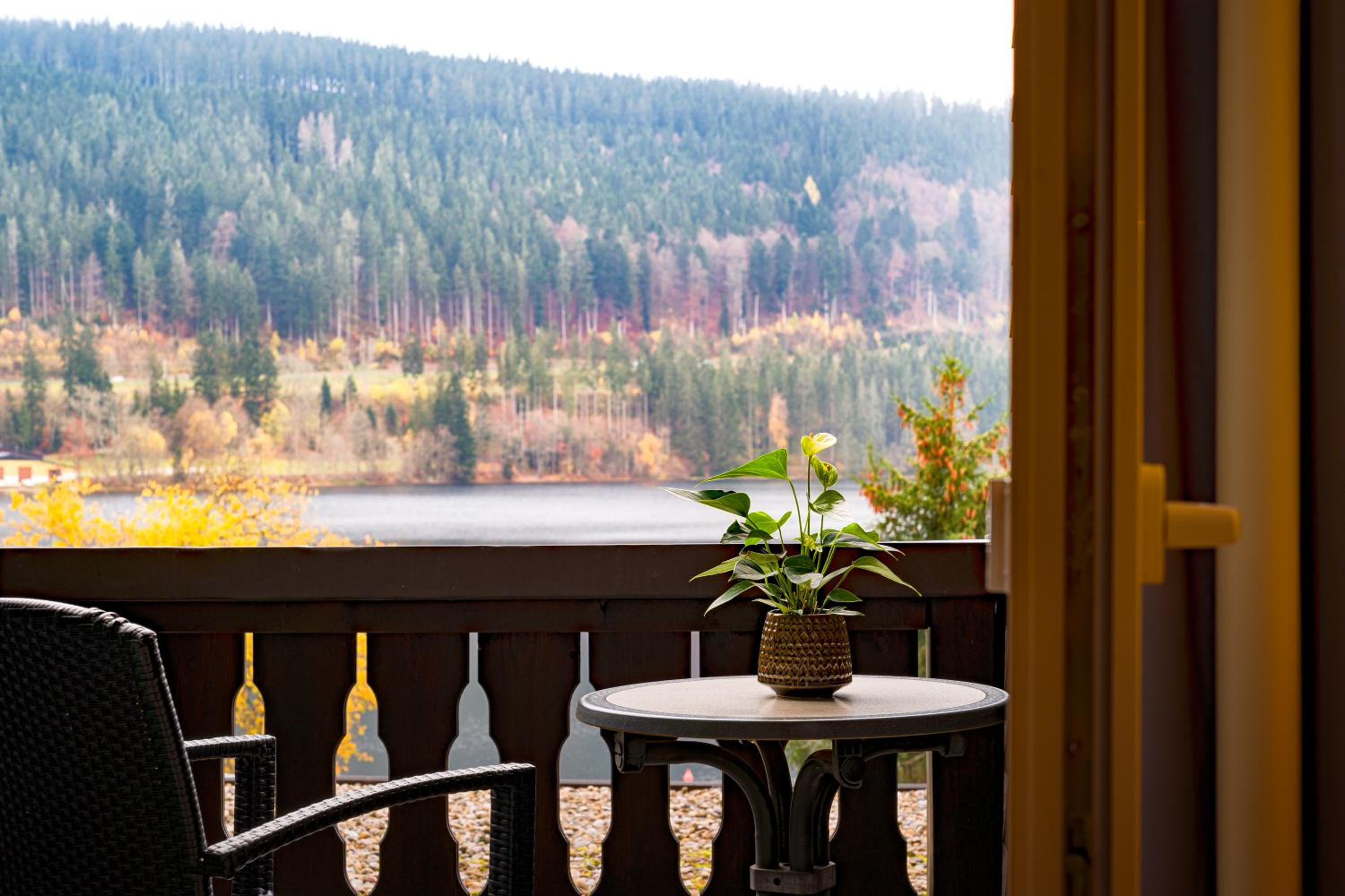 Classic Double Room with Lake View and Balcony photo 2