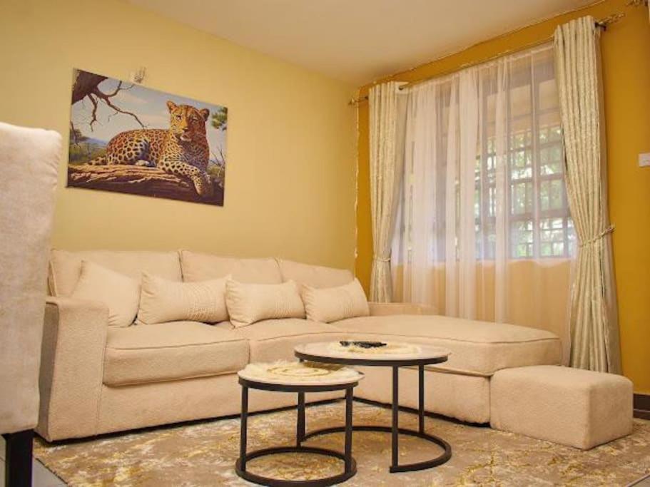 One-Bedroom Apartment photo 3