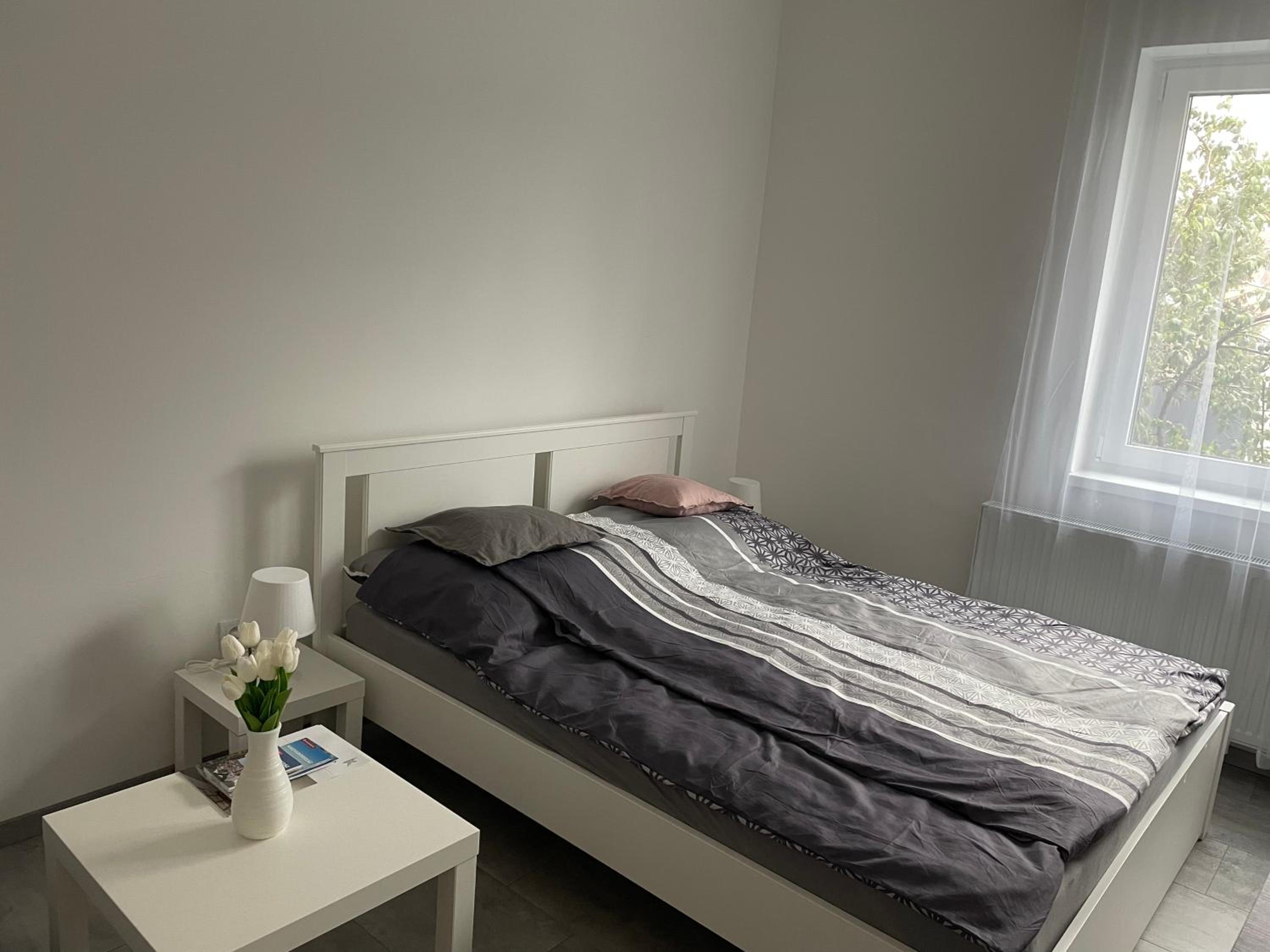 One-Bedroom Apartment with Terrace photo 1
