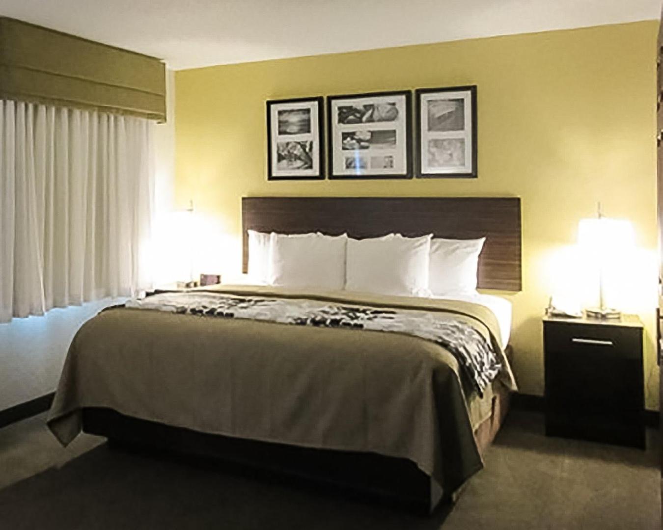 Queen Suite with Sofa Bed photo 3