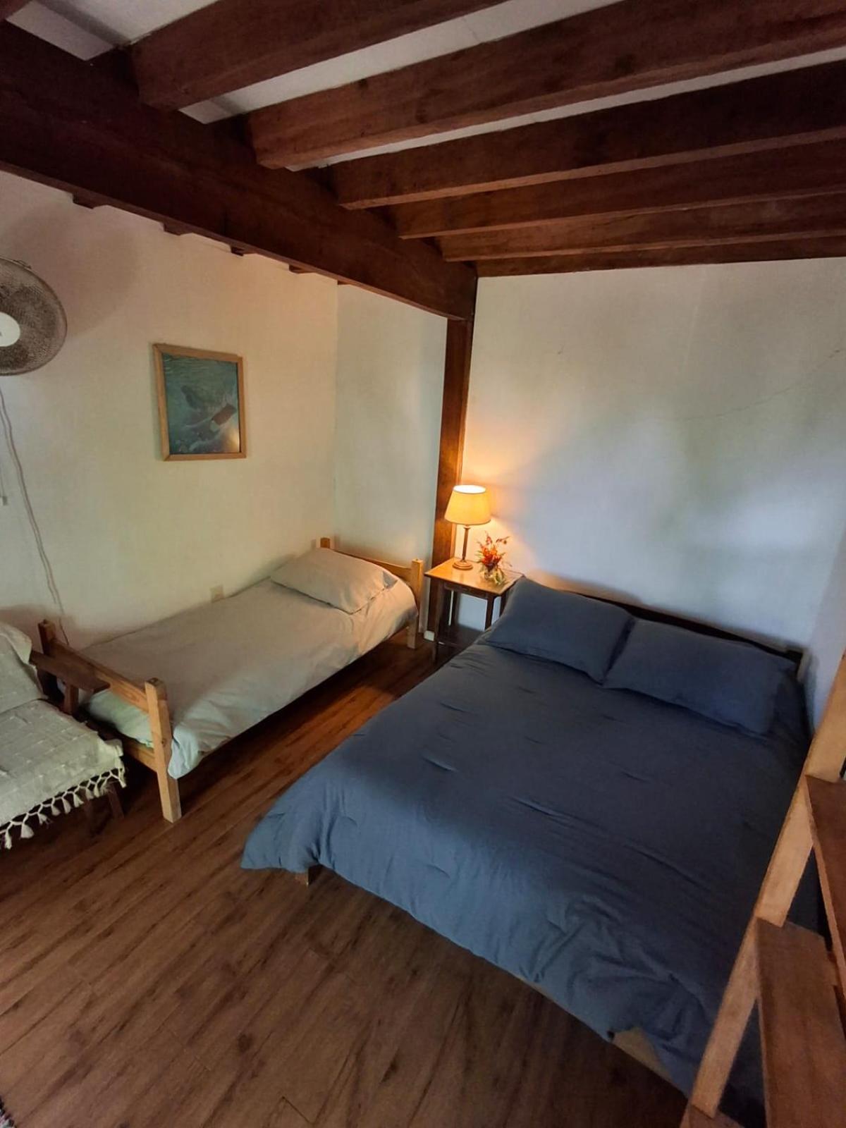 Double or Twin Room photo 3