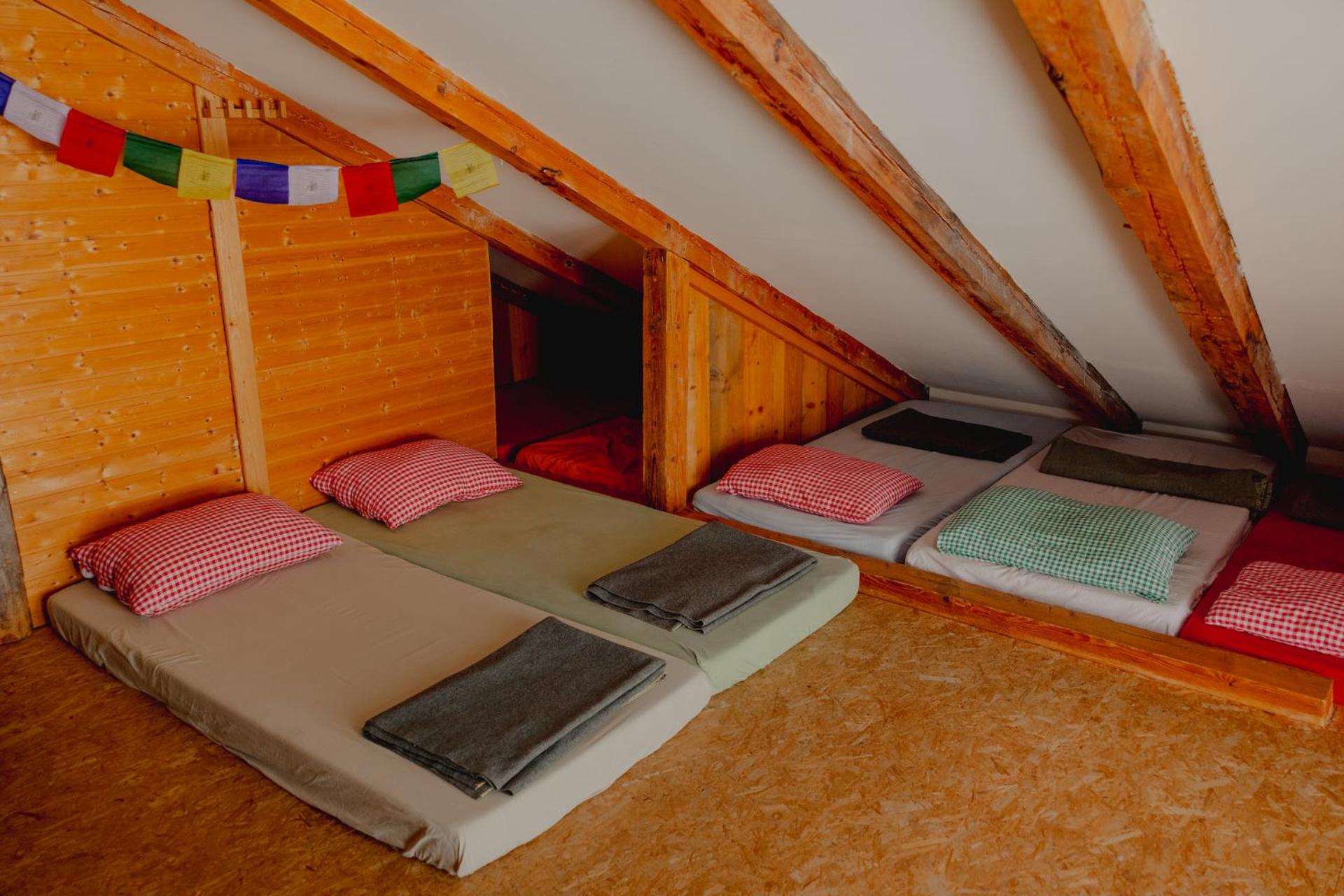 Single Bed in Mixed Dormitory Room photo 1