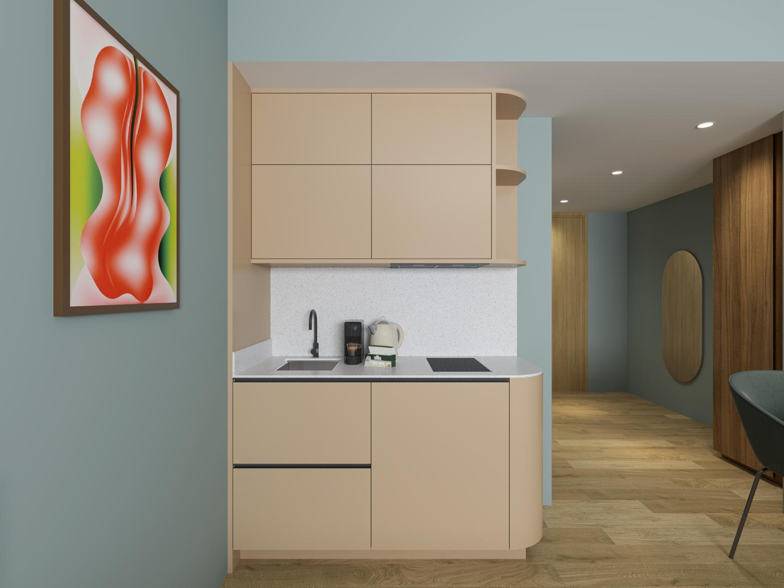 Large Studio with Kitchenette photo 2