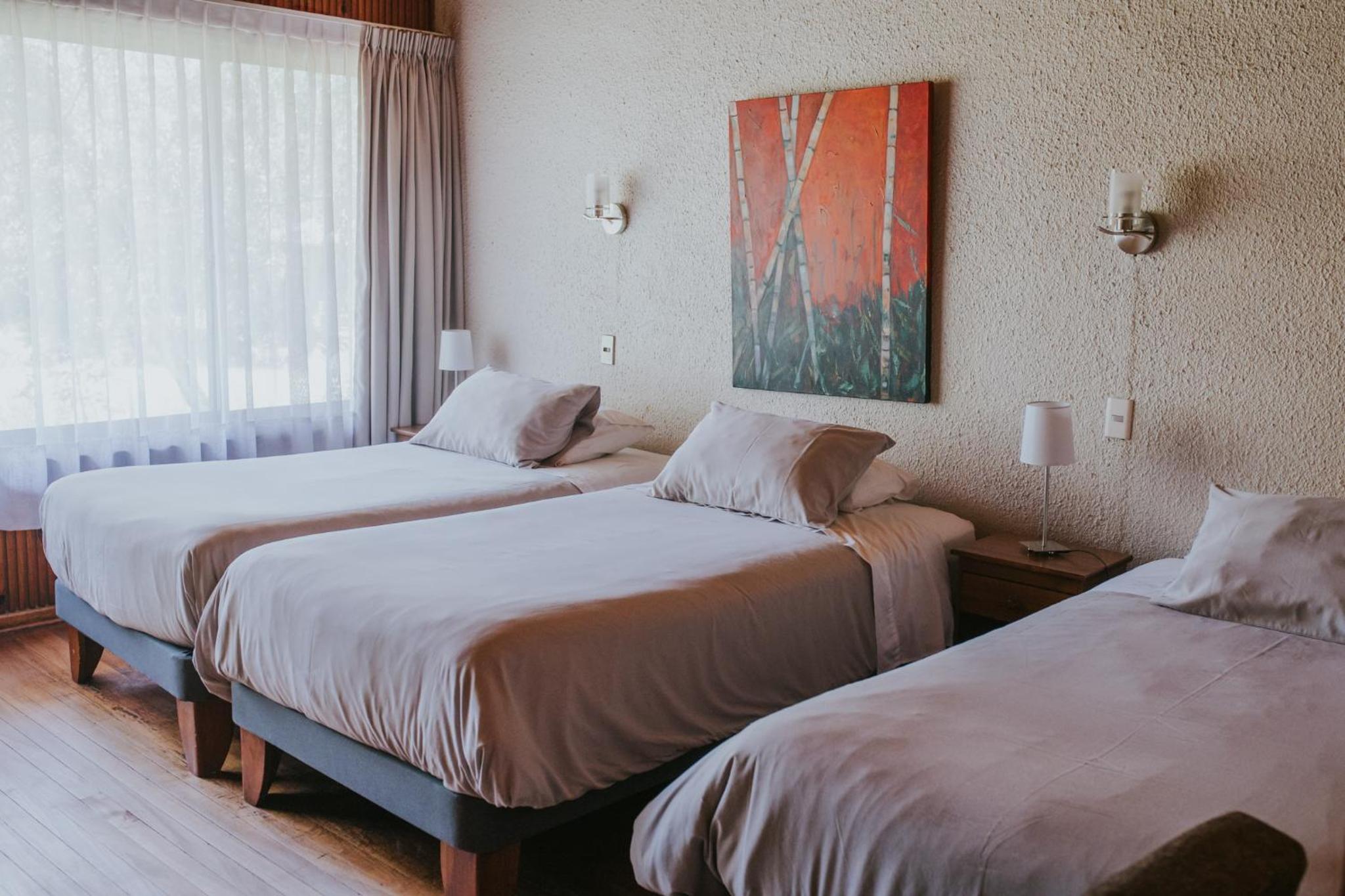 Basic Triple Room