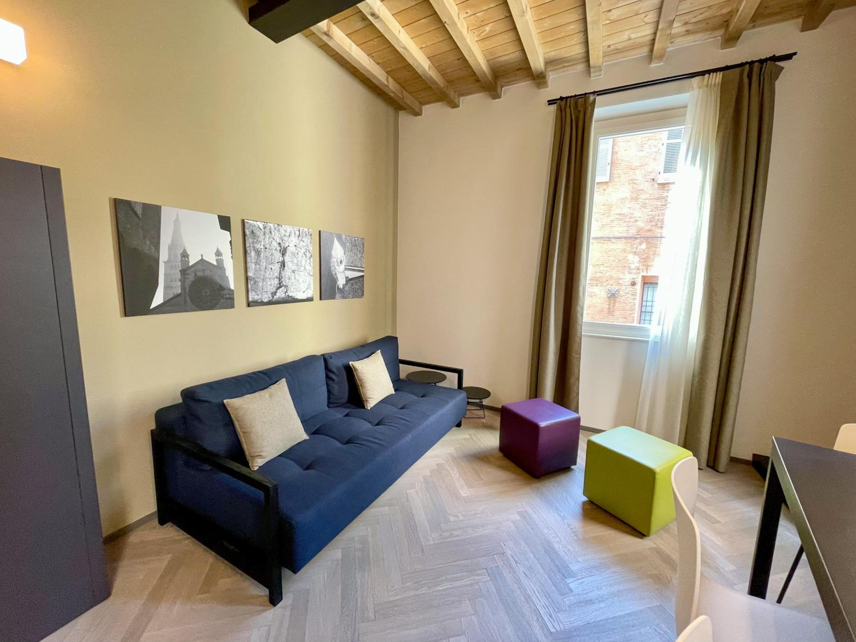 Deluxe One-Bedroom Apartment