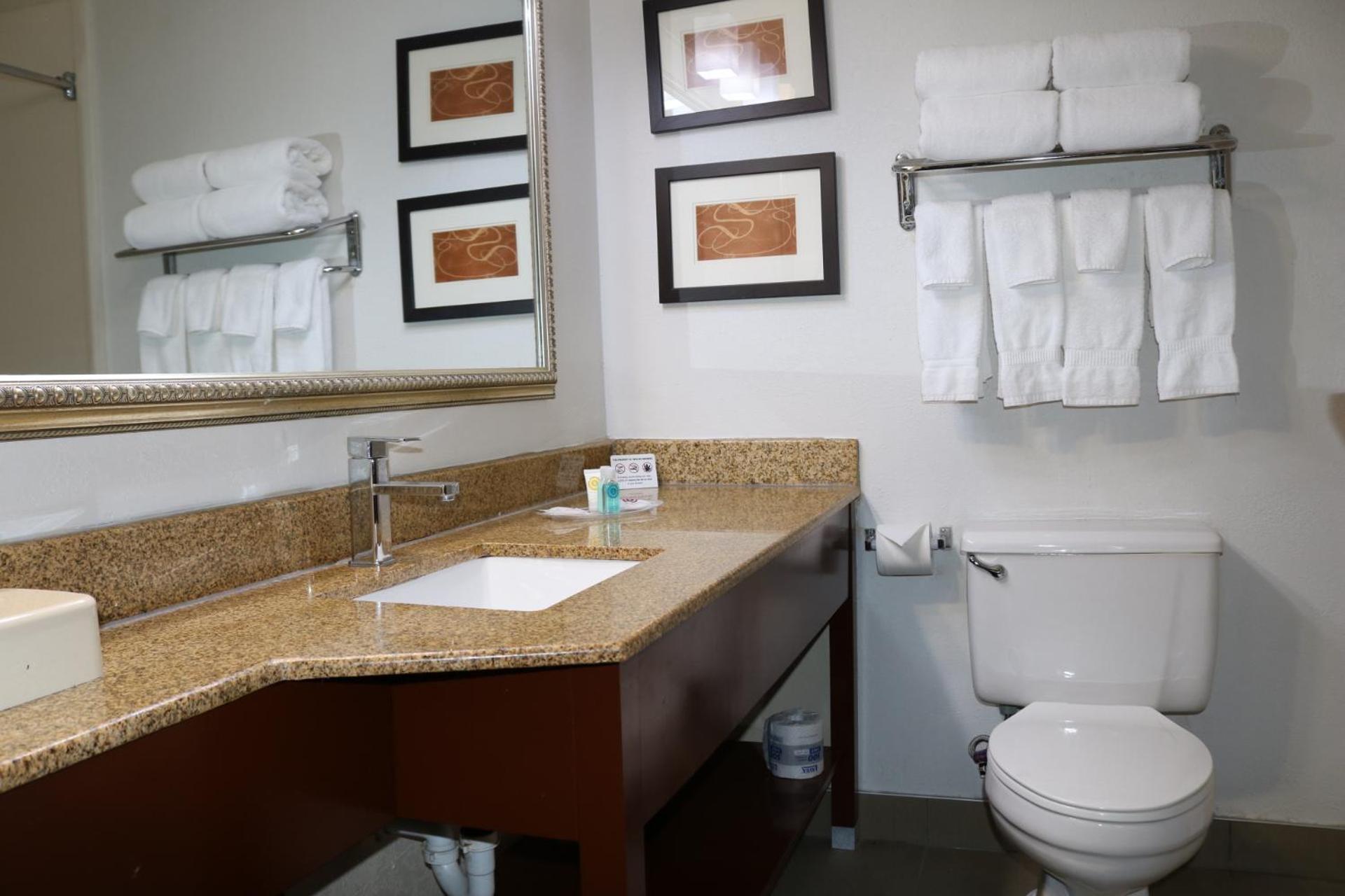 Double Suite - Disability Access - Photo 4
