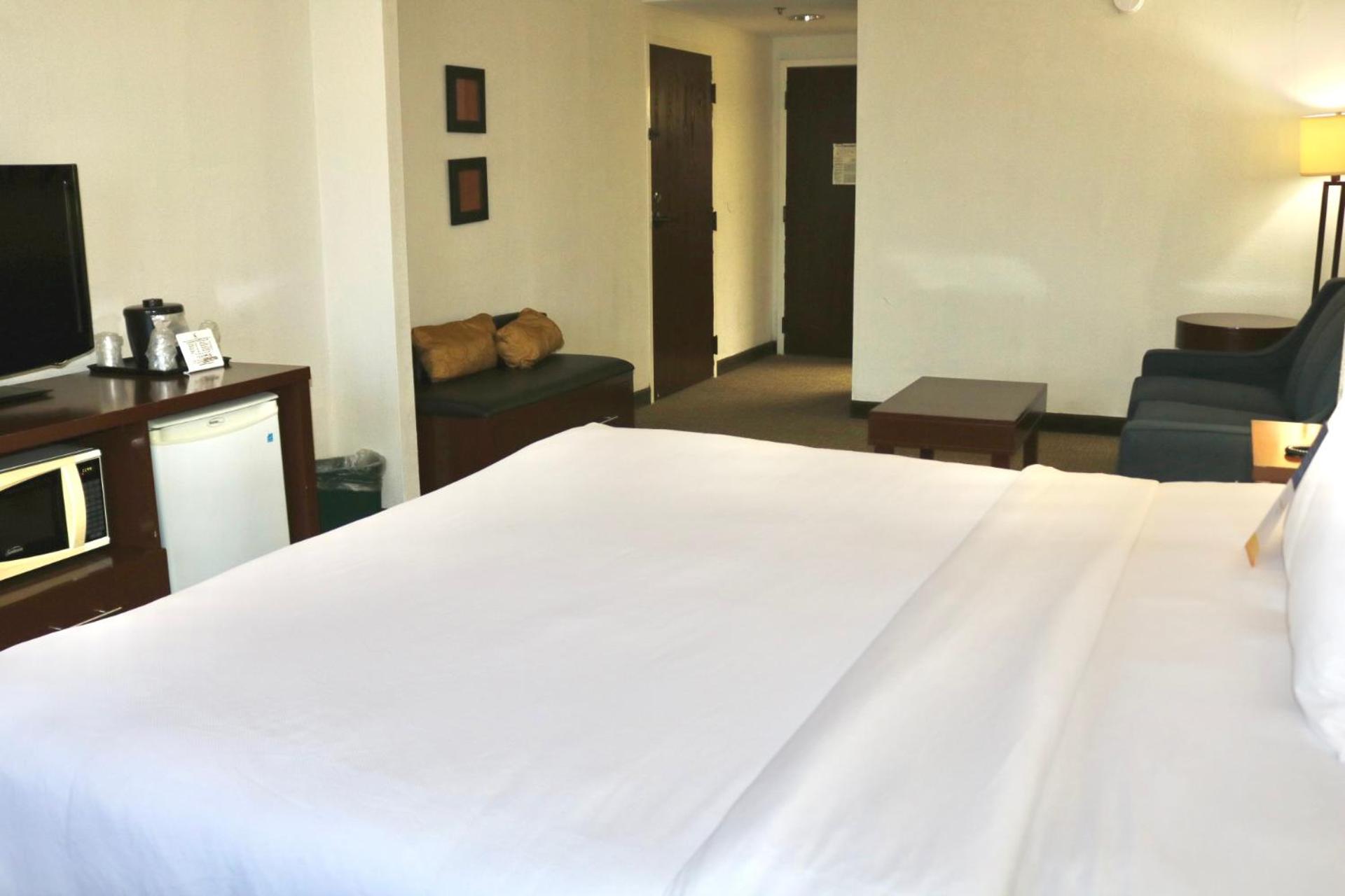 King Suite - Disability Access/Non-Smoking - Photo 2