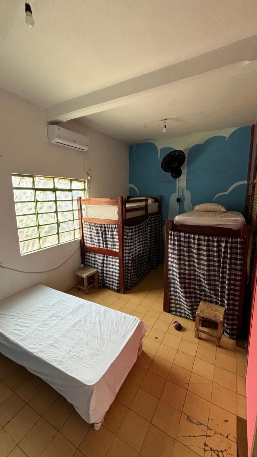 Single Bed in Mixed Dormitory Room photo 3