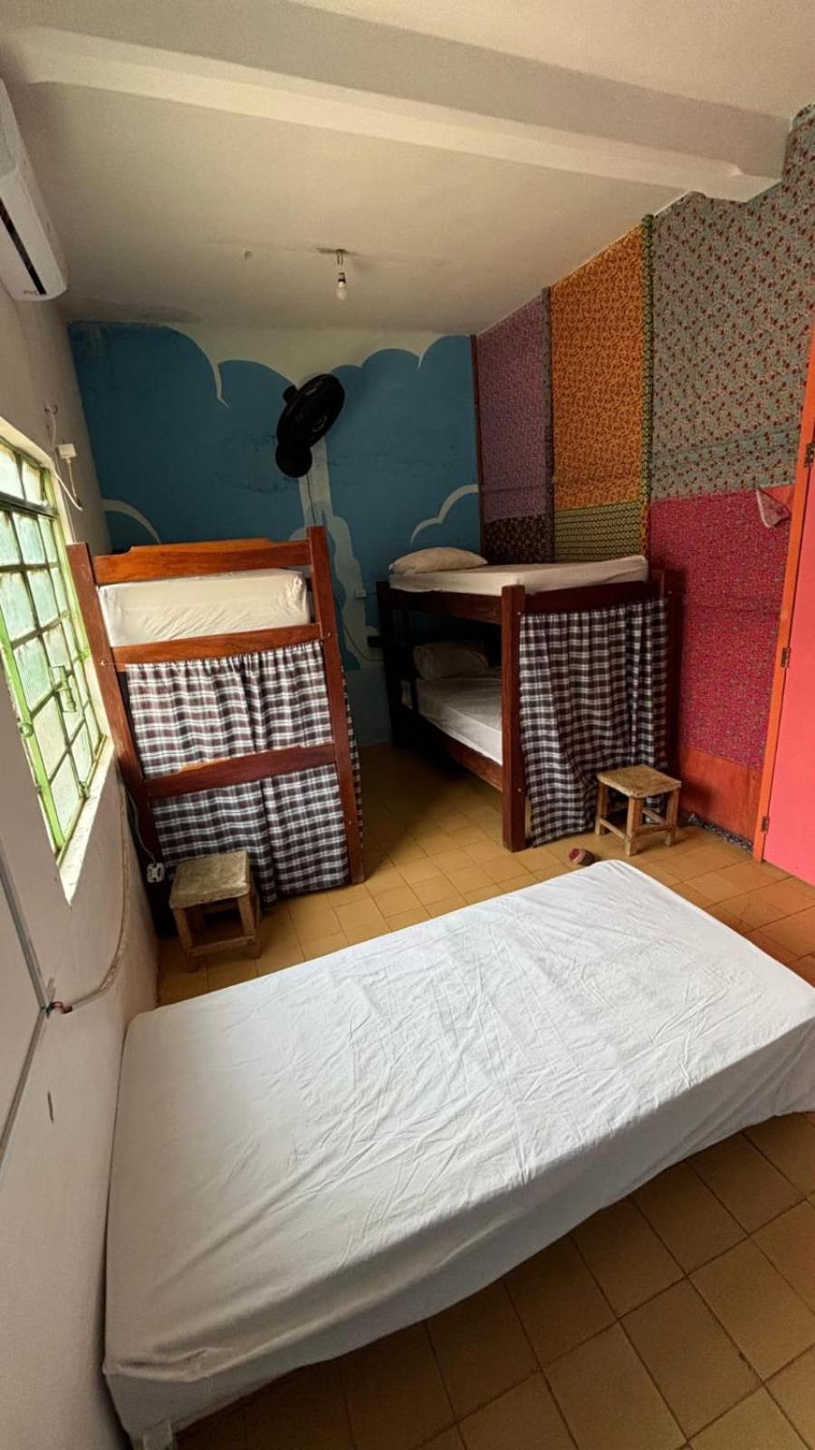 Single Bed in Mixed Dormitory Room photo 2