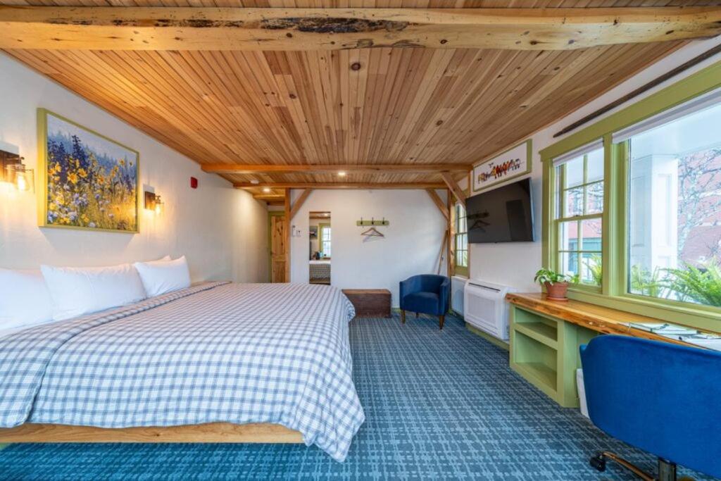 Deluxe King Suite photo 1
