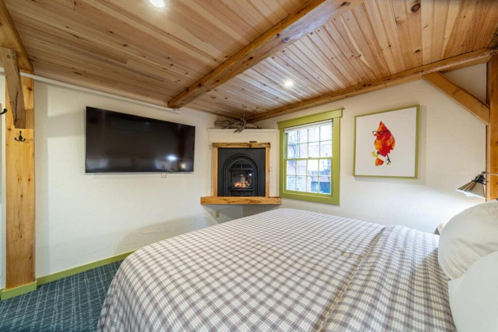 Family Suite photo 1