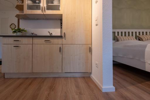 One-Bedroom Apartment photo 2