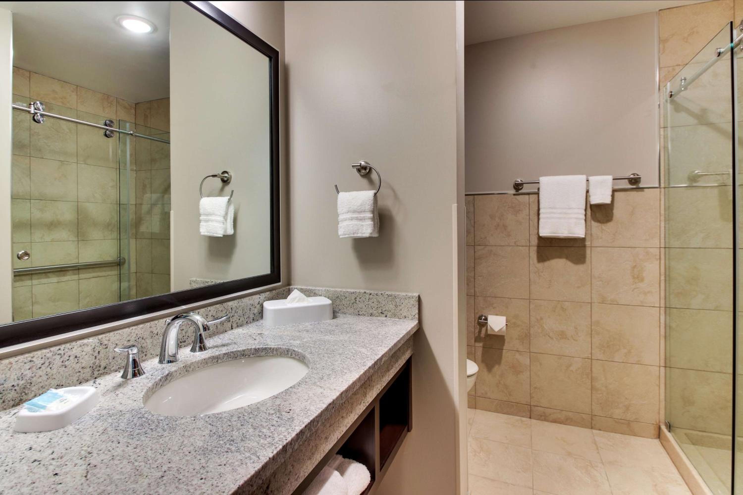 King Suite with Sofa Bed - Hearing Accessible photo 2