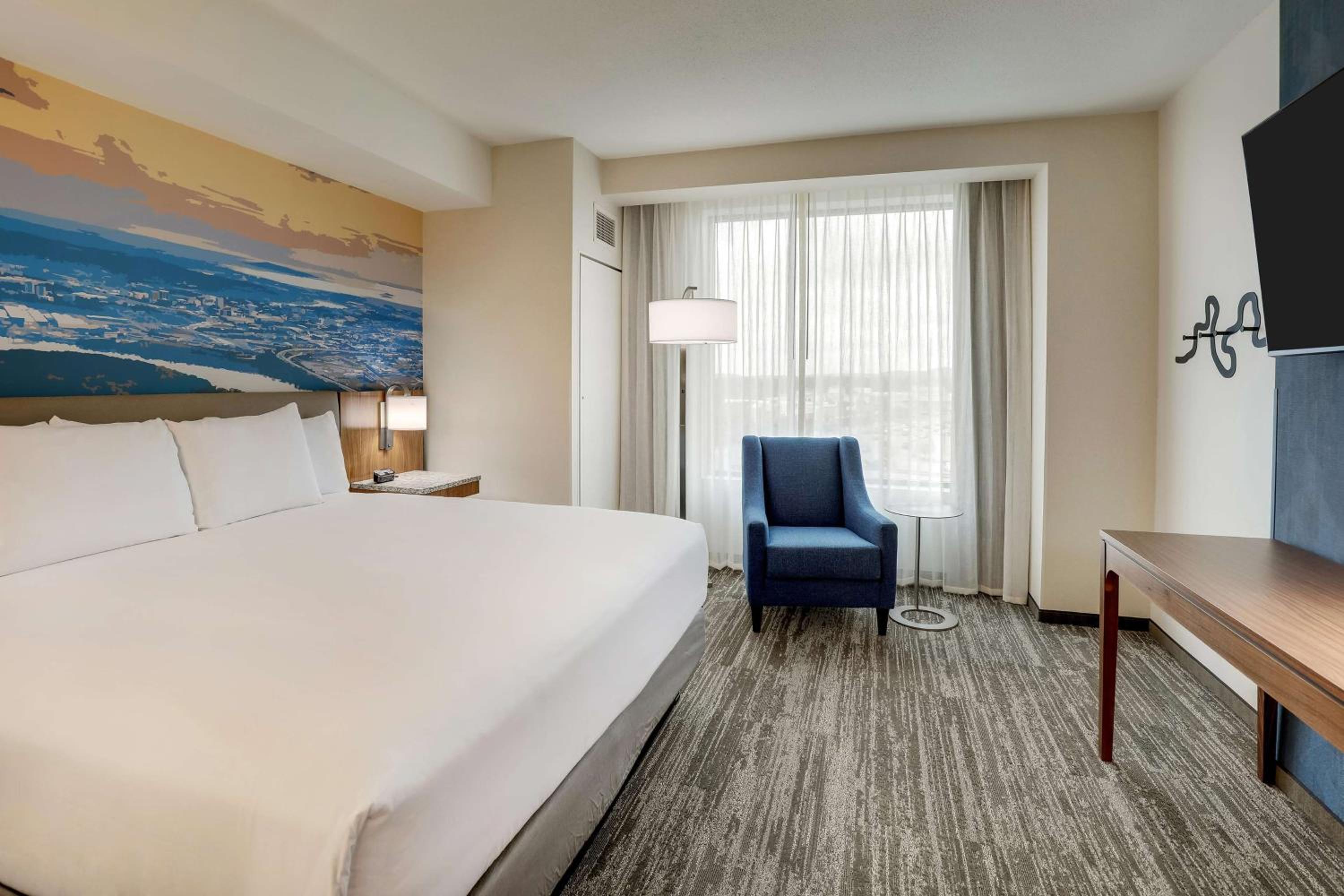 King Suite with Sofa Bed - Accessible, Roll-in Shower photo 3