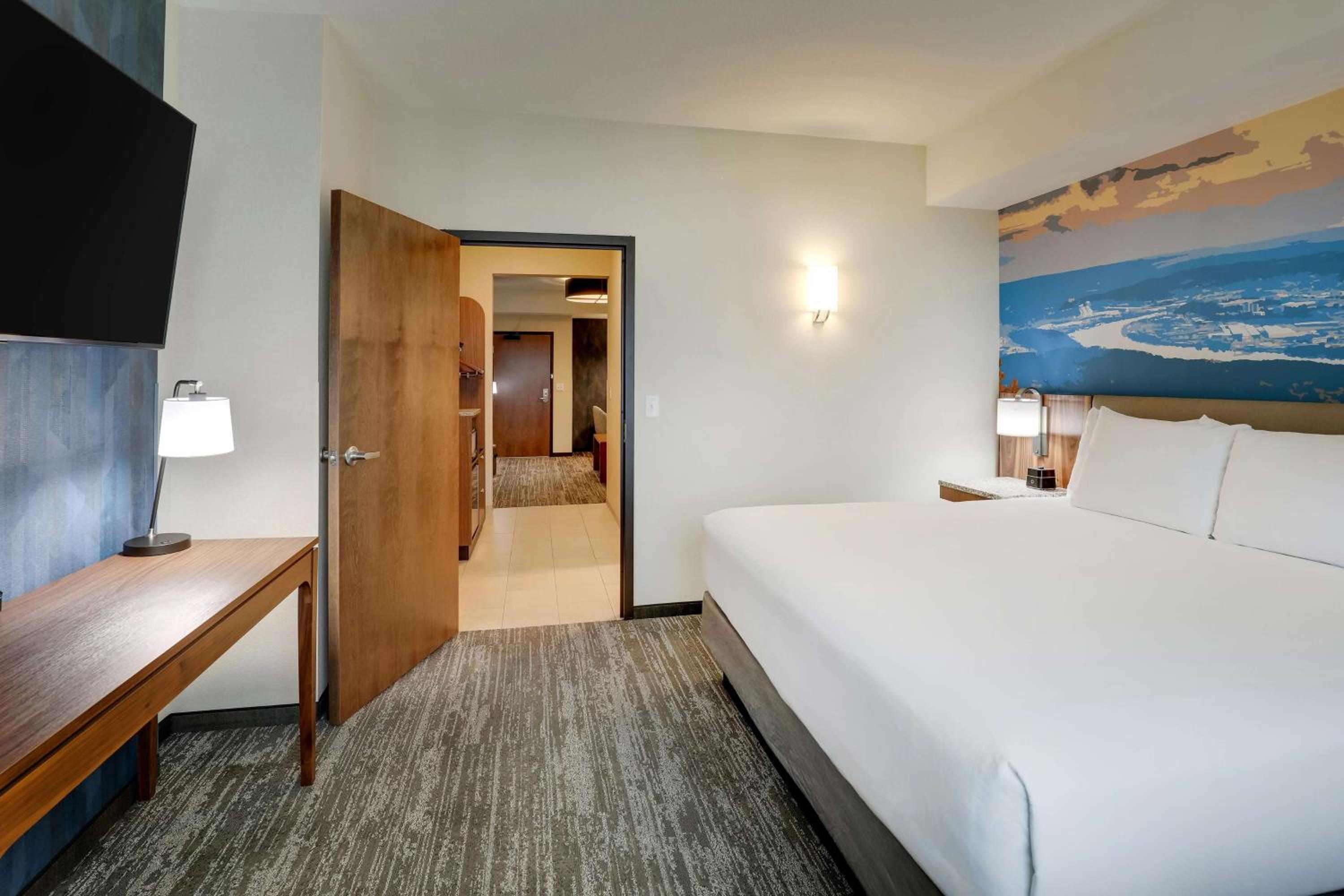 King Suite with Sofa Bed - Accessible, Roll-in Shower photo 1